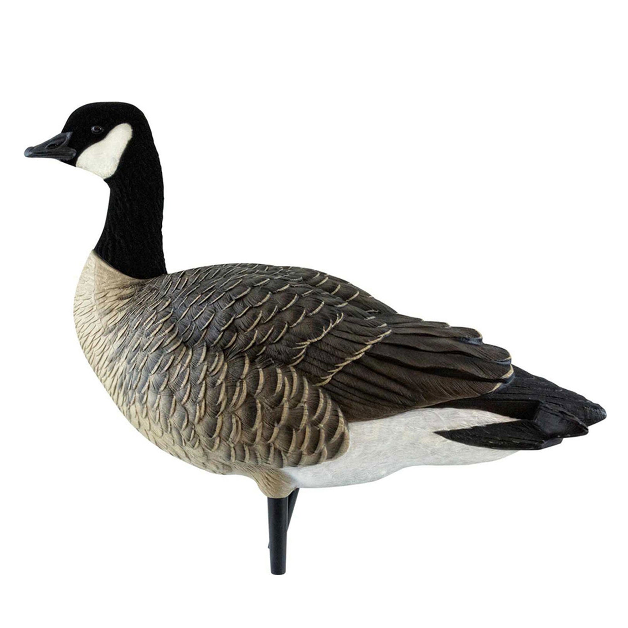 Avian X AXF Lessers Flocked Full Body Lifelike Goose Hunting Decoys, 12 Pack