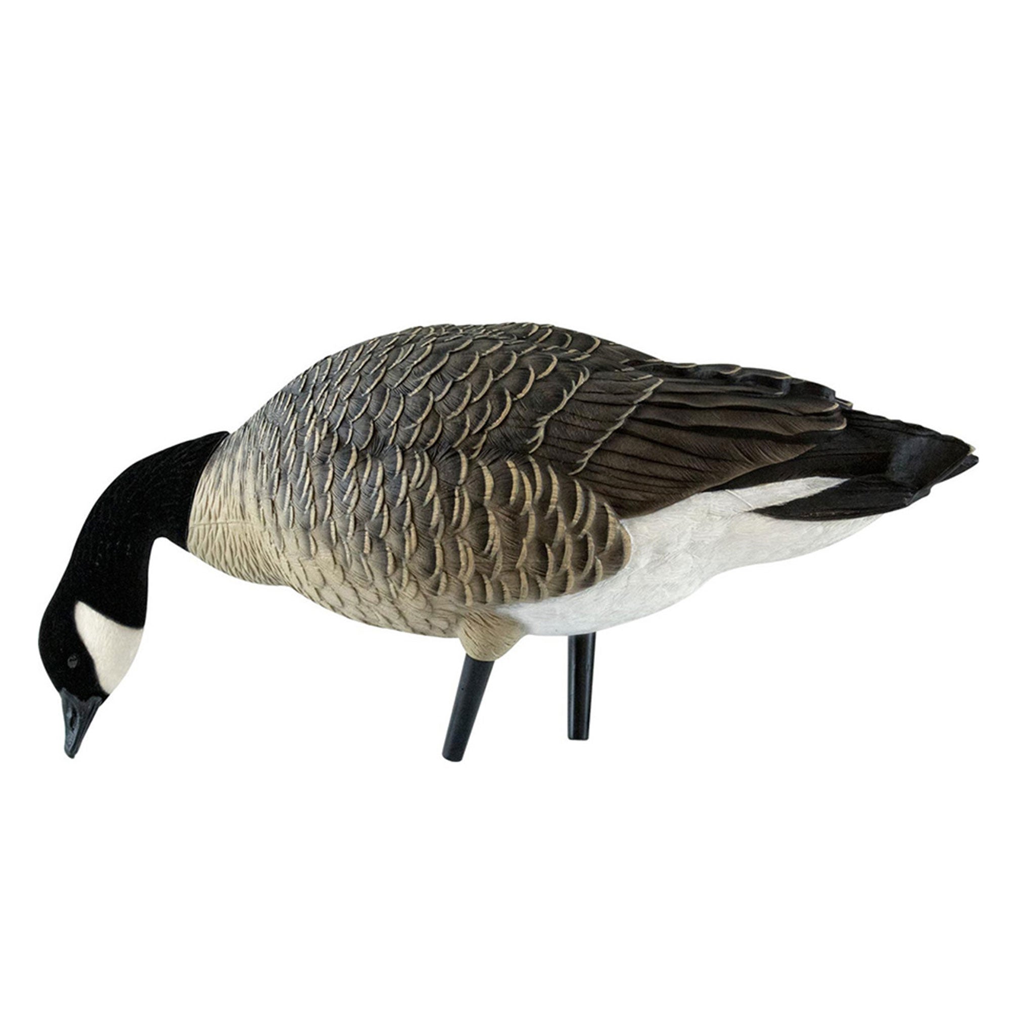 Avian X AXF Lessers Flocked Full Body Lifelike Goose Hunting Decoys, 12 Pack