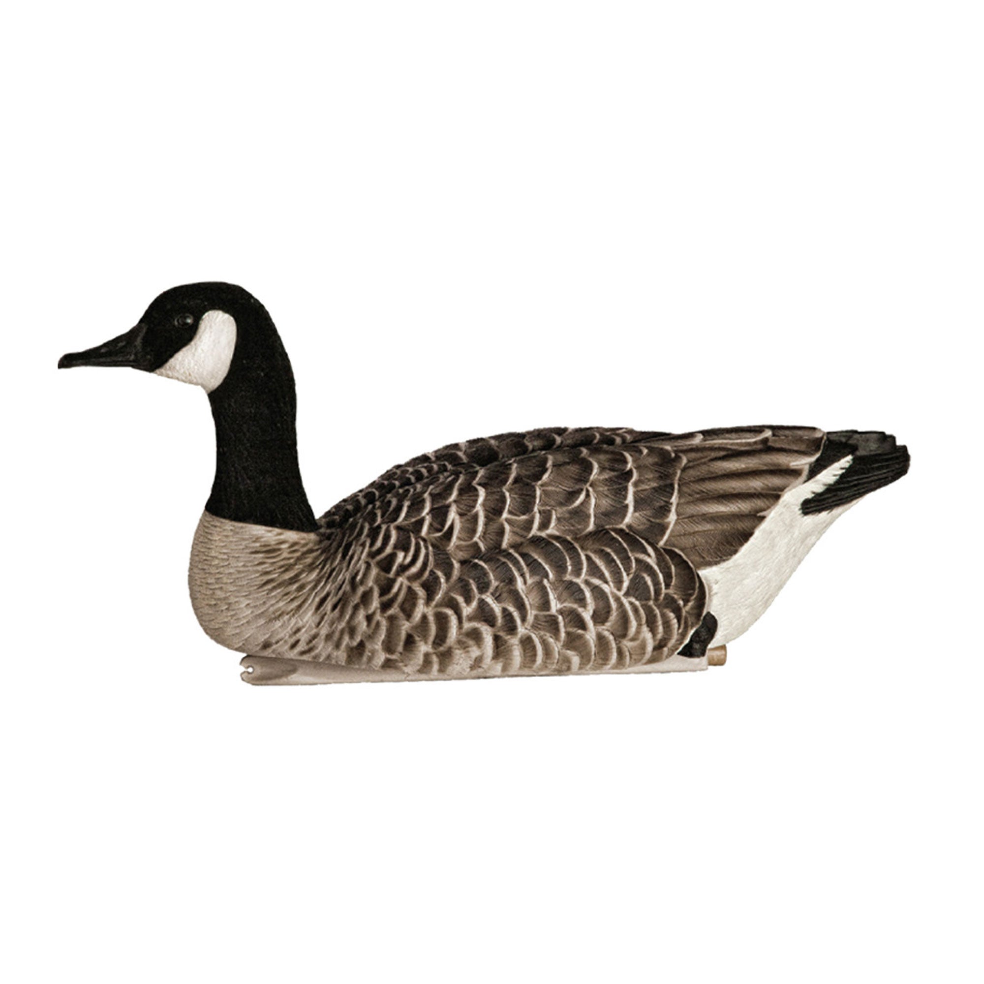 Avian X Honker Floaters w/True to Life Postures for Hunting Use (Open Box) - VMInnovations