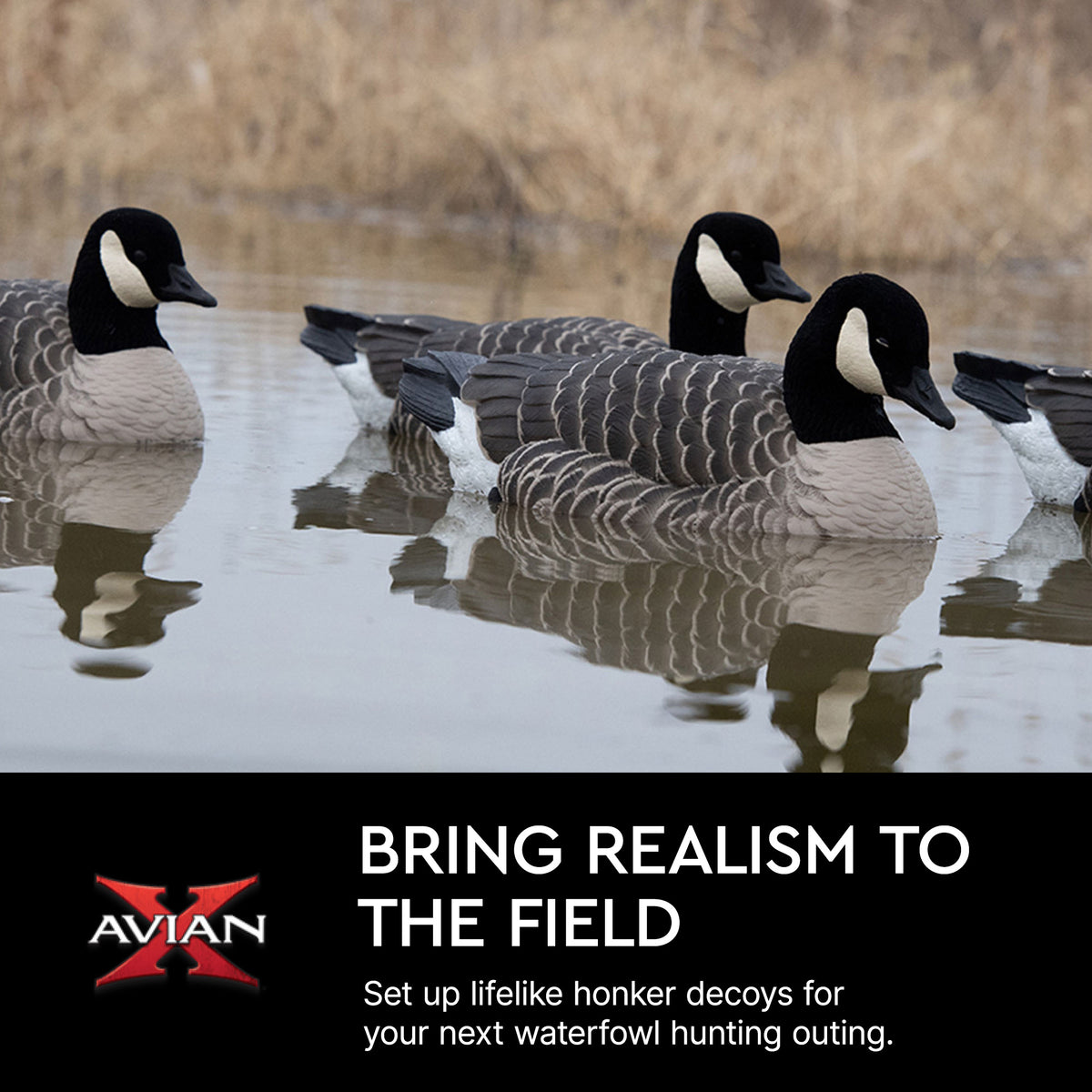 Avian X Honker Floaters w/True to Life Postures for Hunting Use (Open Box)
