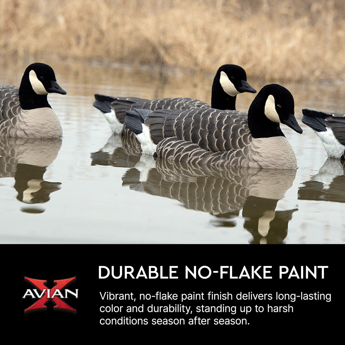 Avian X Topflight Lessers Floating Goose Hunting Decoys for Hunting Purposes