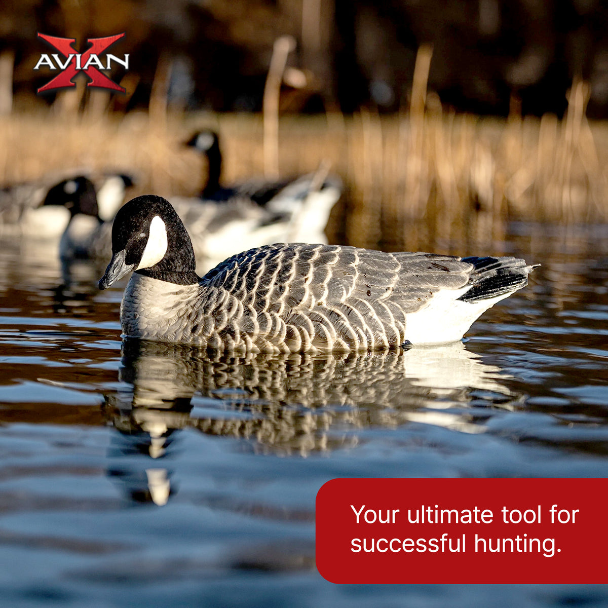 Avian X Topflight Lessers Floating Goose Hunting Decoys for Hunting Purposes