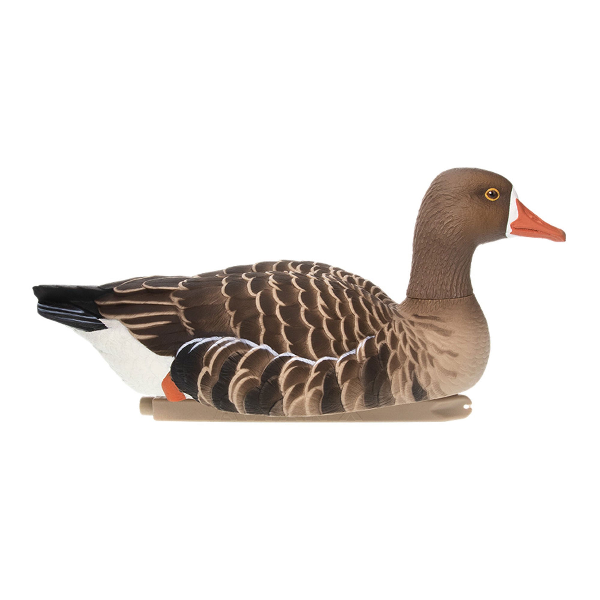 Avian X Topflight Specklebelly Goose Decoys with True to Life Postures, 12 Pack