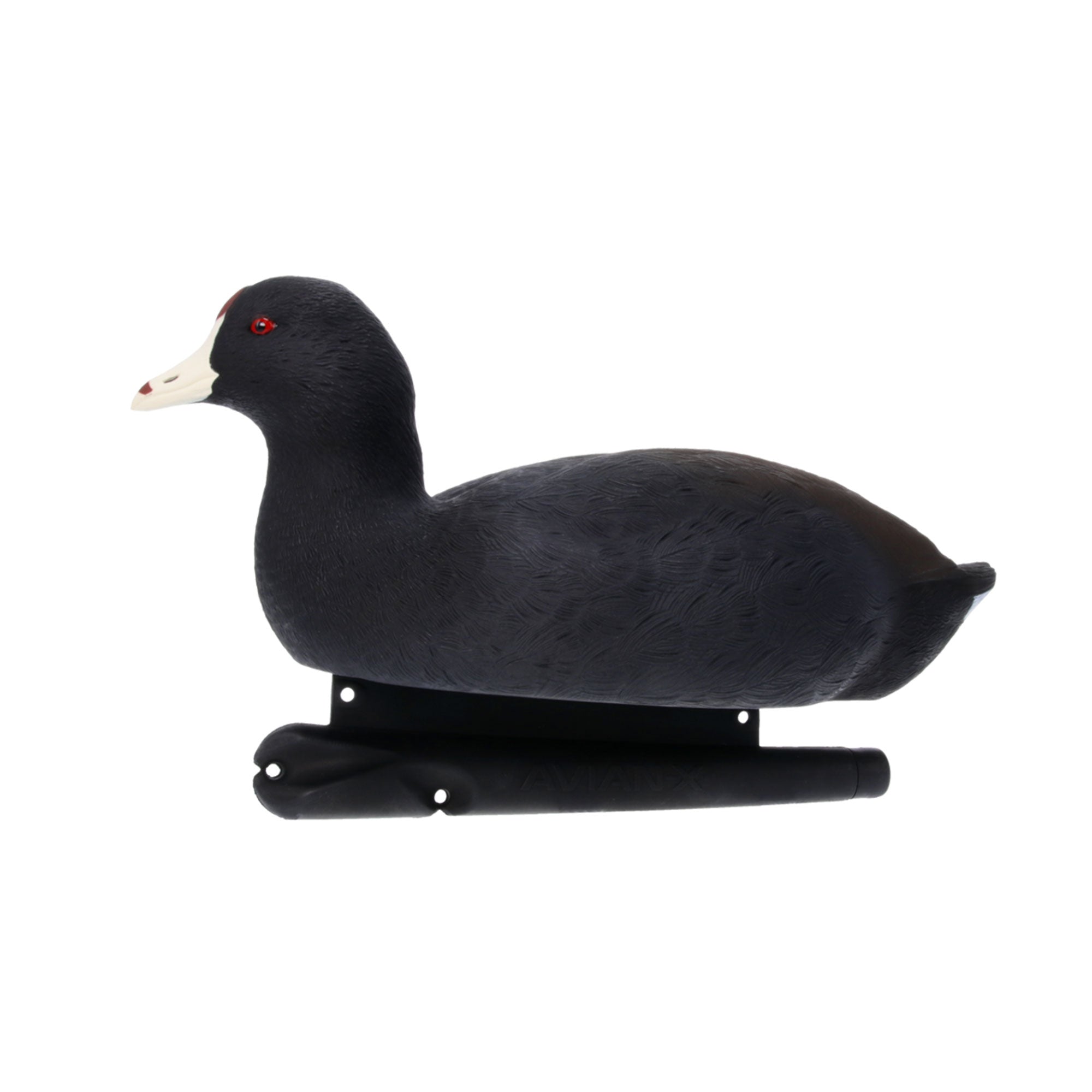Avian X Top Flight Coot w/Ultra Realistic Paint Scheme, 6pk (Open Box) - VMInnovations