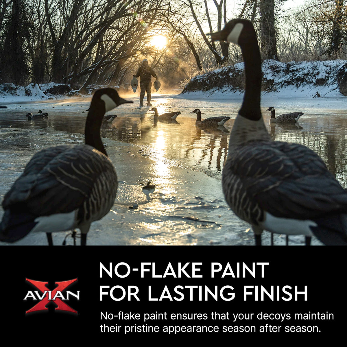 Avian X AXP 6 Piece Honker Sentry Walker Realistic Goose Outdoor Hunting Decoy
