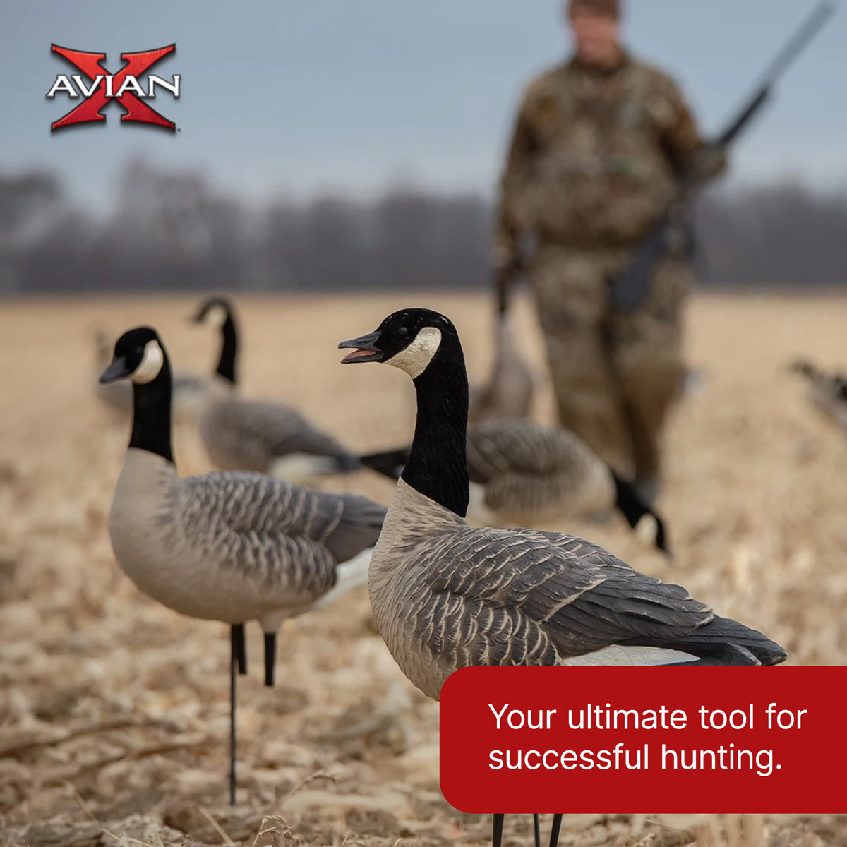 Avian X AXP 6 Piece Honker Sentry Walker Realistic Goose Outdoor Hunting Decoy