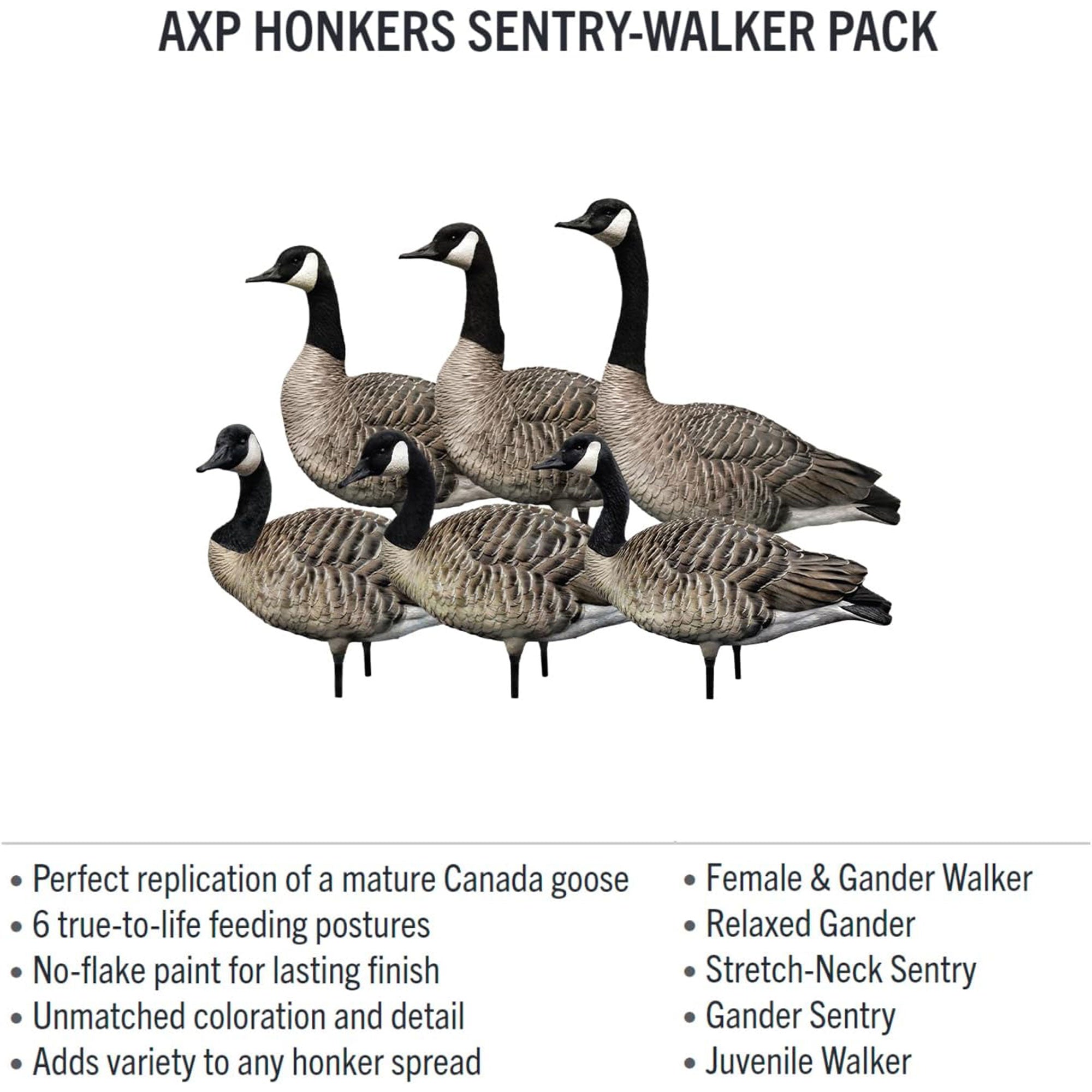 Avian X AXP 6 Piece Honker Sentry Walker Realistic Goose Hunting Decoy, 2 Pack - VMInnovations
