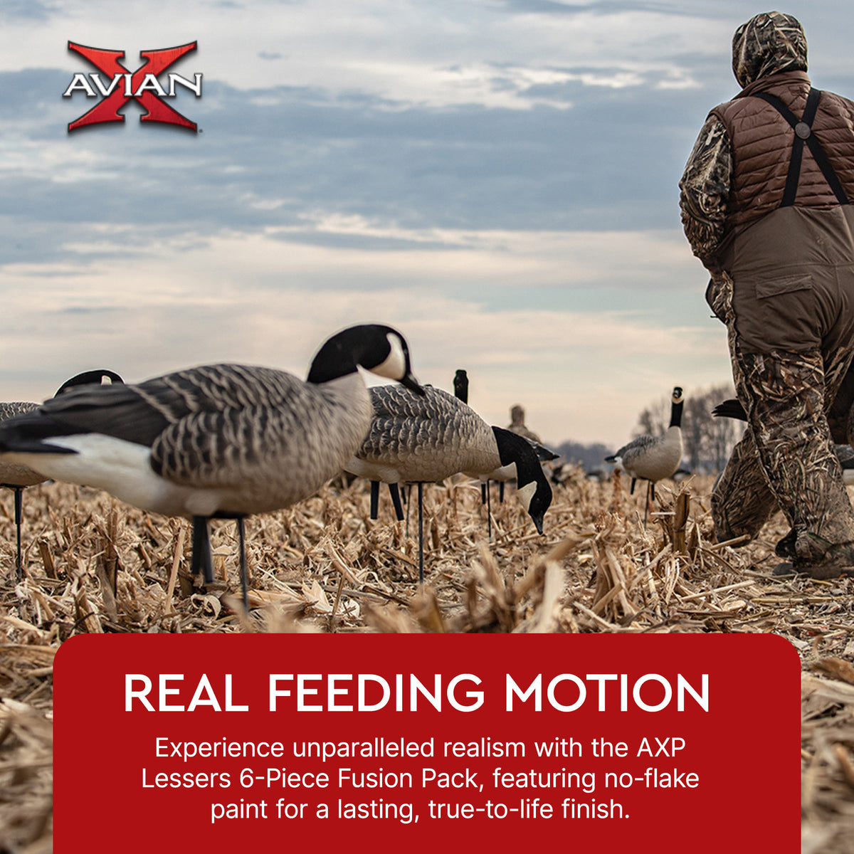 Avian X Lessers 6 Piece Fusion Pack for Hunting Purposes and Outdoor Sports