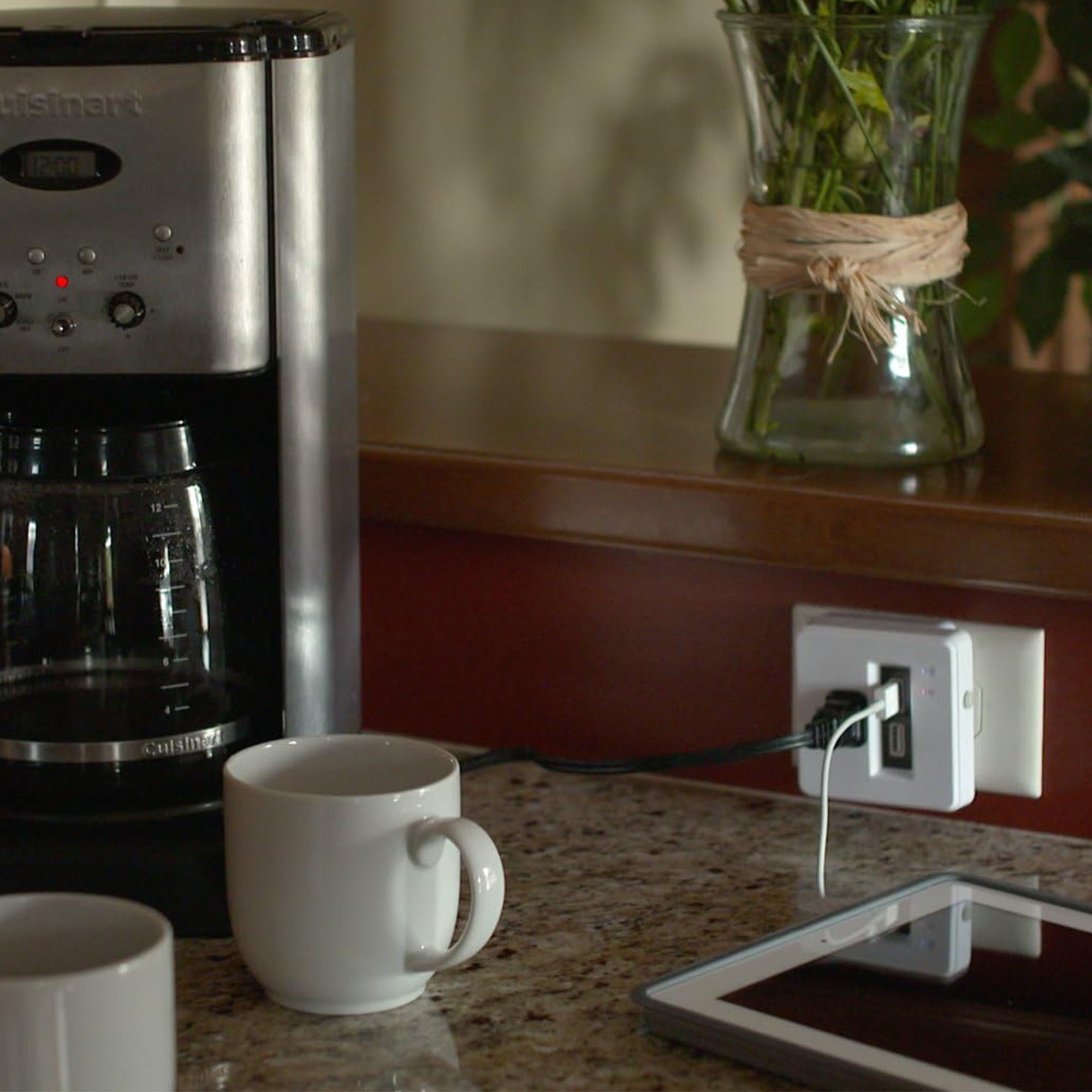 Wion 15 Amp Grounded WiFi Receptacle, 2 USB Ports, On/Off Settings (Open Box) - VMInnovations