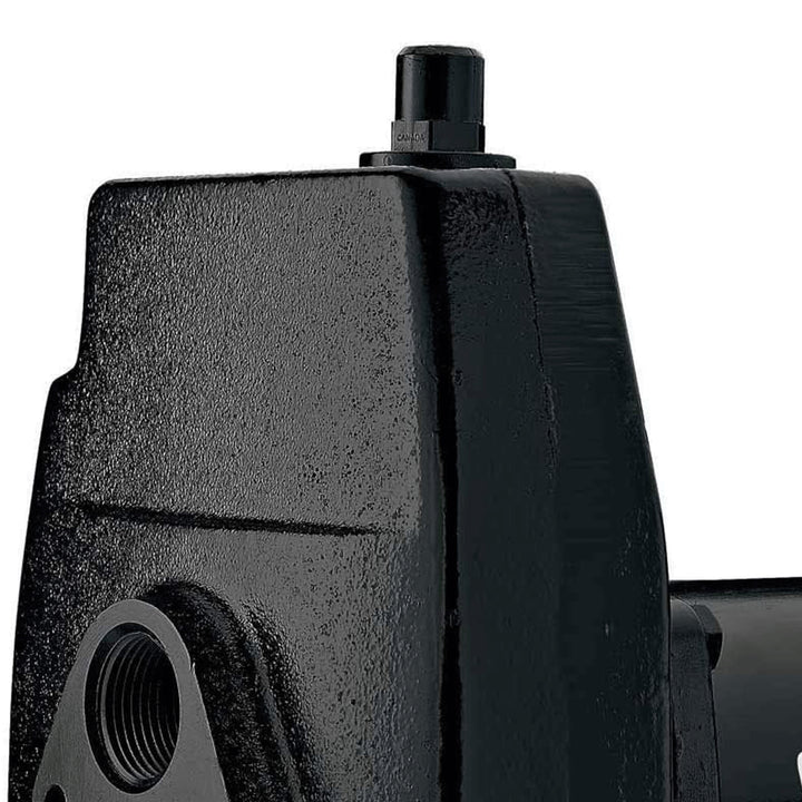 Flotec 1/2 HP Cast Iron Convertible Jet Pump Tackles Water Depths of Up To 100' - VMInnovations