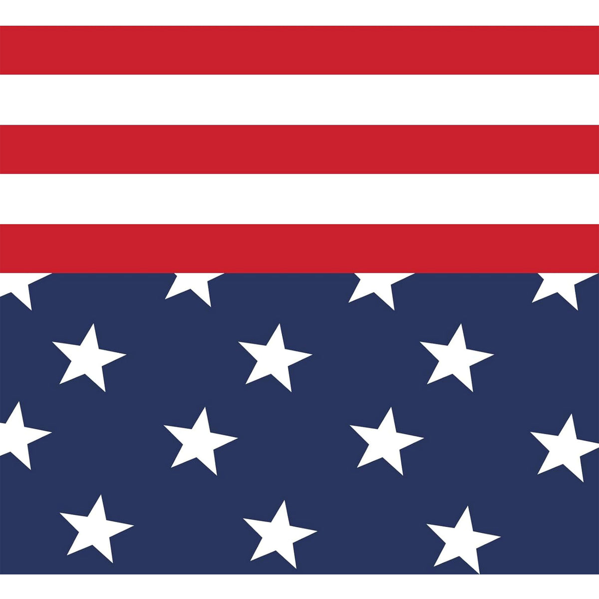 CROWN SHADES 10x10 Ft Outdoor Canopy Tent with 1 Push Center Lock, American Flag