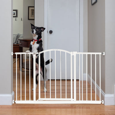 Ingenuity Ozzy & Kazoo 27” Tall Walk Through Dog Gate For Doorway or Stairway