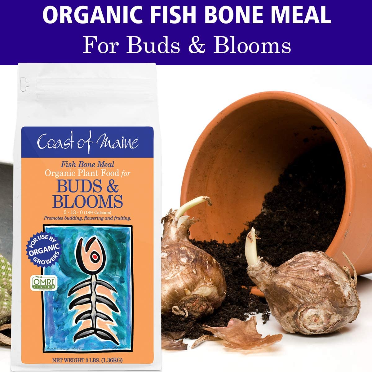 Coast of Maine Fish Bone Meal Pack Organic Potting Soil, 3 LB Bag (4 Pack)