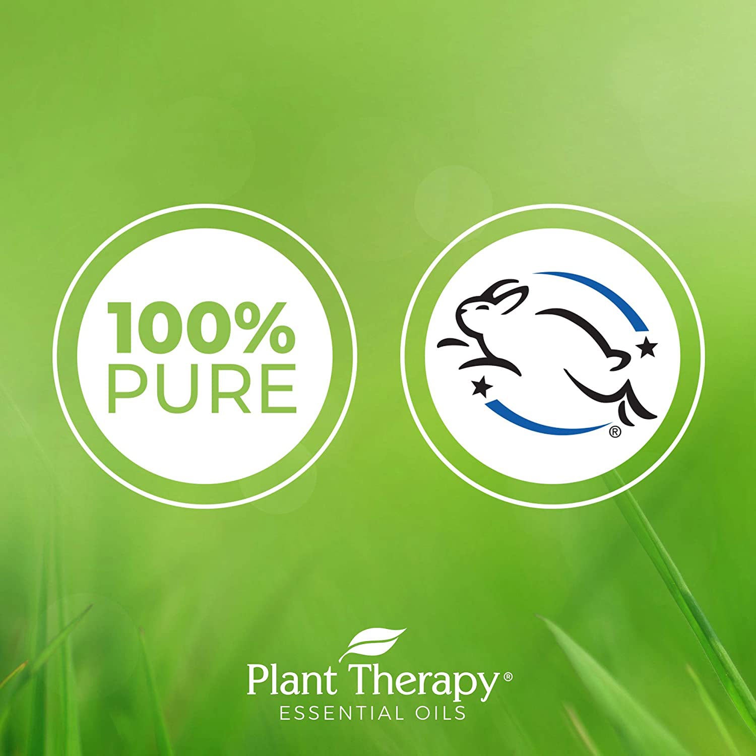 Plant Therapy Aromatherapy Diffusible 100mL Essential Oil, 3.3 Oz (Open Box)