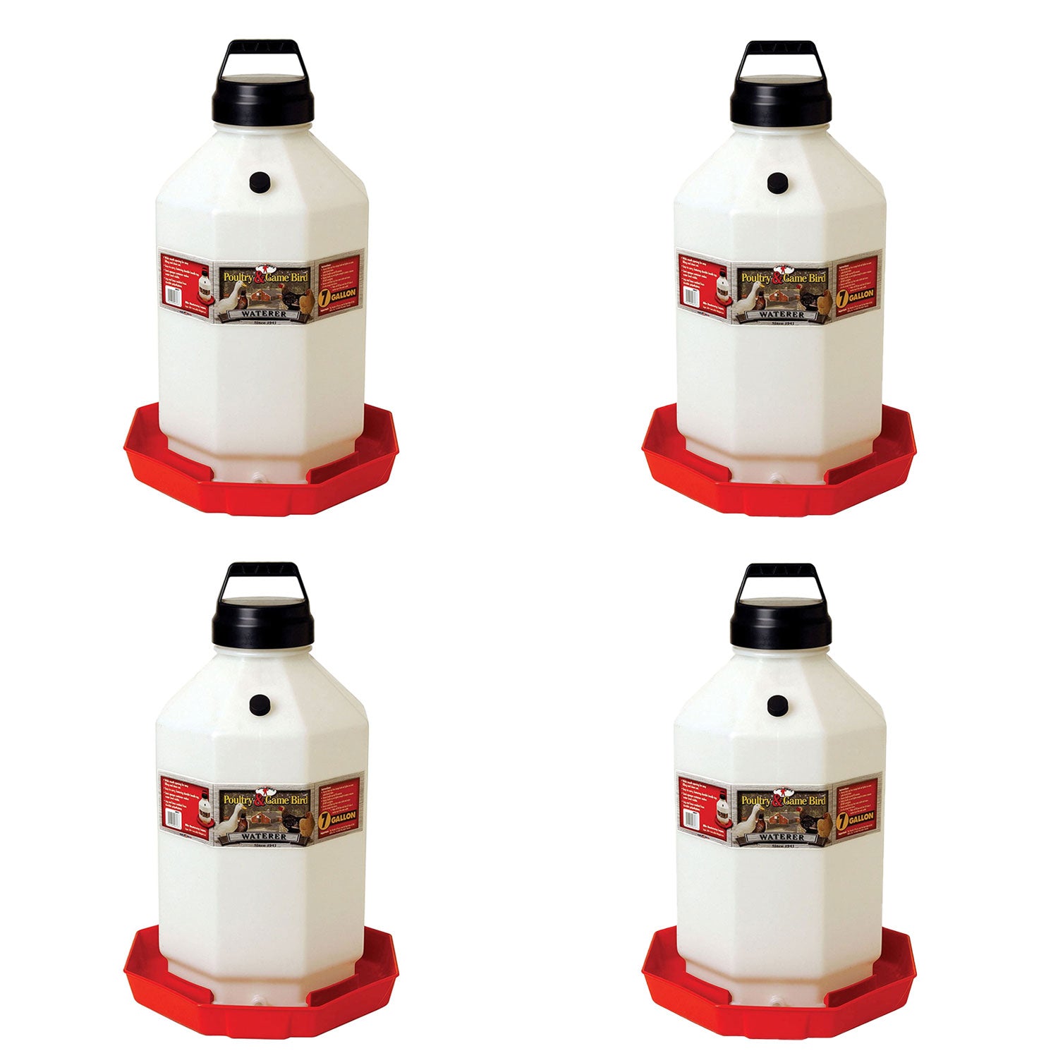 Little Giant PPF7 7 Gallon Automatic Poultry Waterer for Chickens, Red (4 Pack)