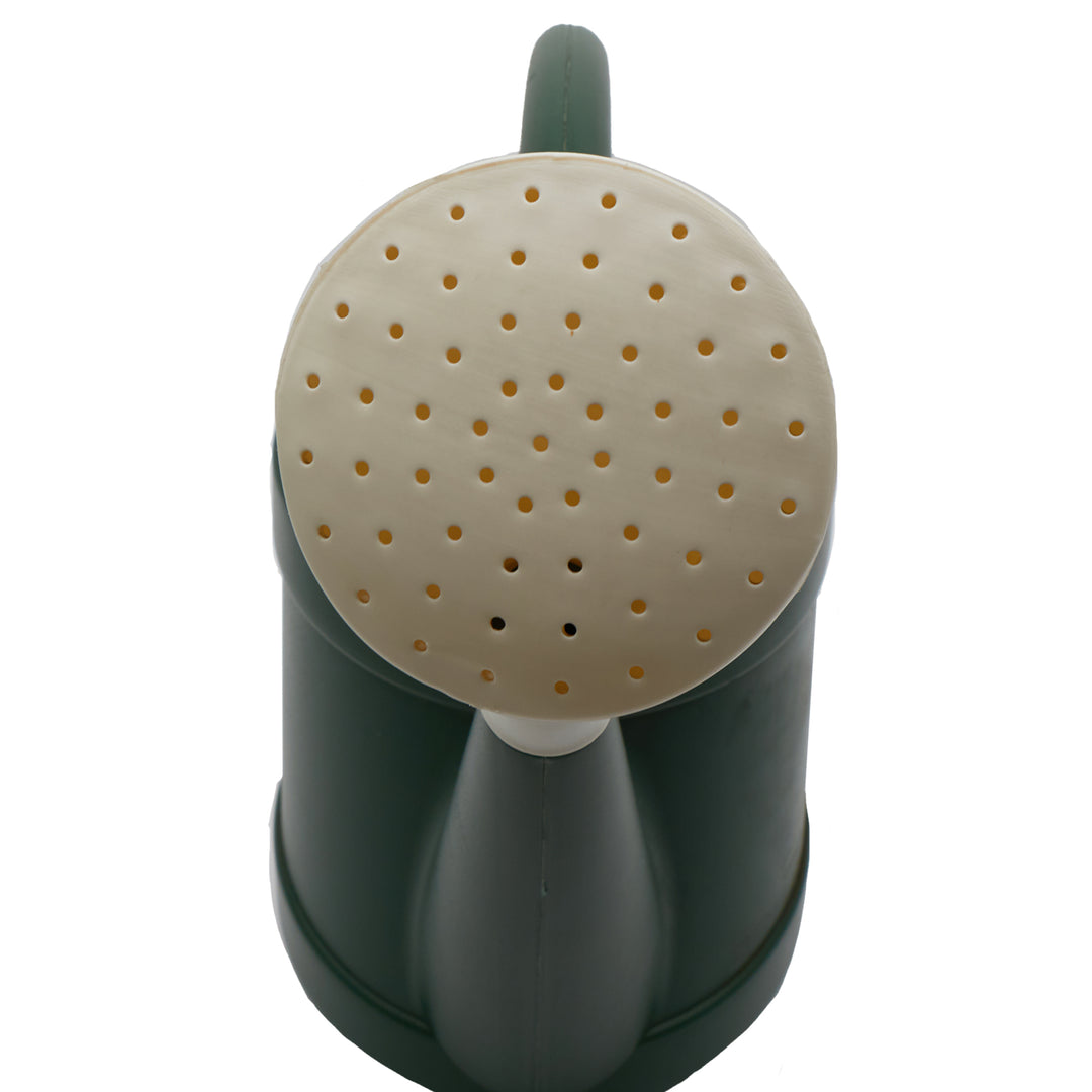 The HC Companies Standard Watering Can, Small Plastic Garden Pot, 2 Gal, Green - VMInnovations