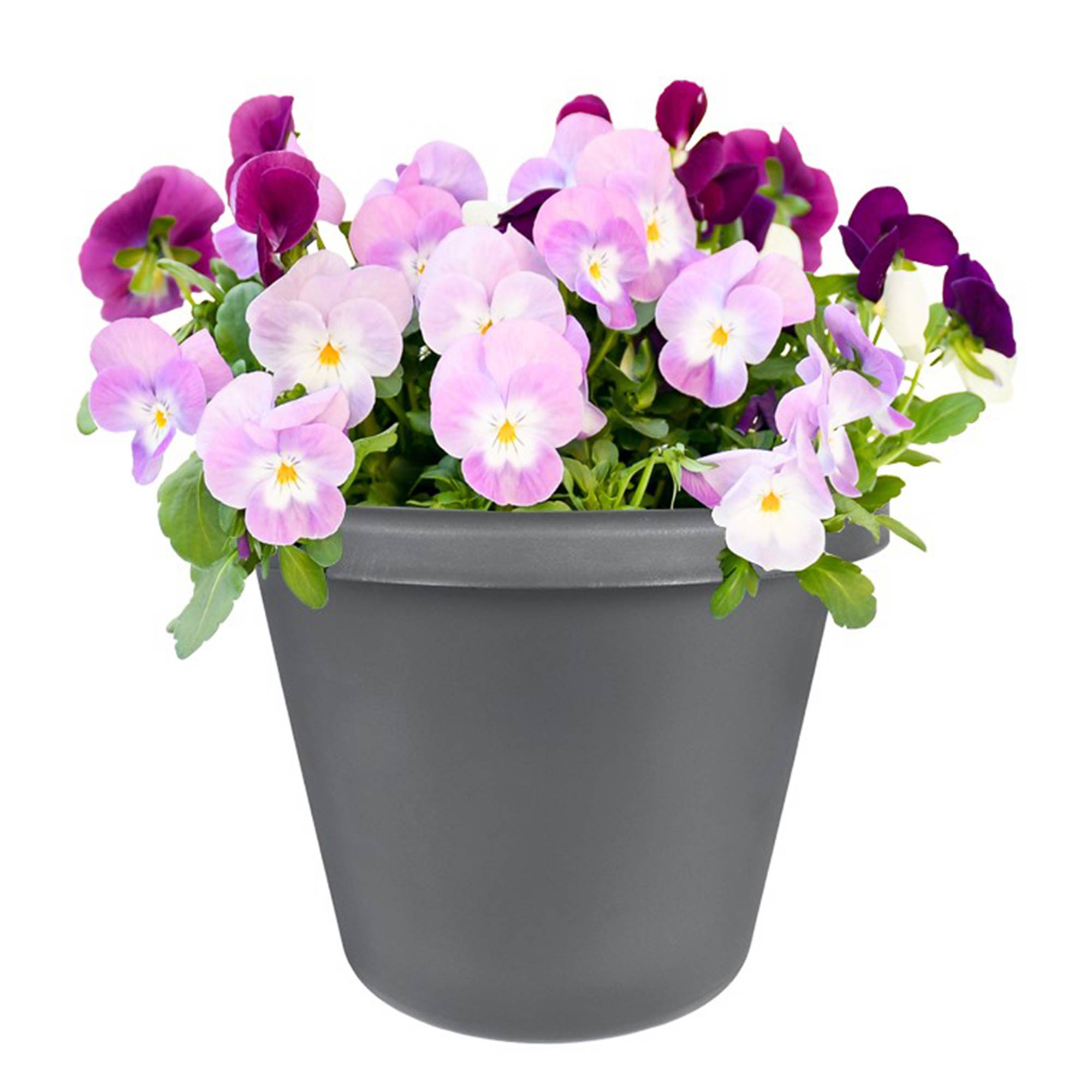 The HC Companies Classic 24 Inch Durable Plastic Pot Planter, Gray (4 Pack) - VMInnovations
