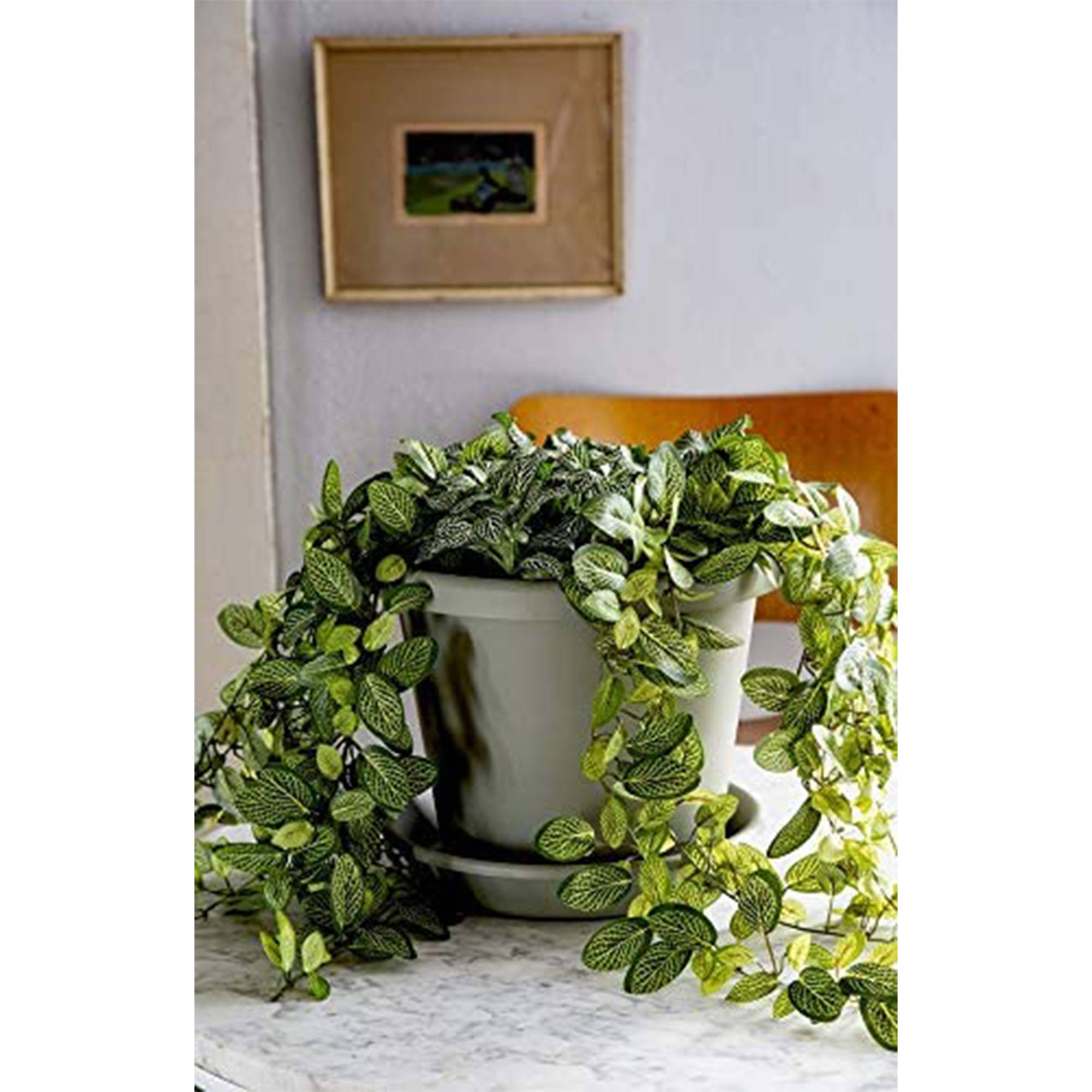 The HC Companies 12 In Plastic Classic Flower Pot Planter, Terra Cotta (4 Pack) - VMInnovations