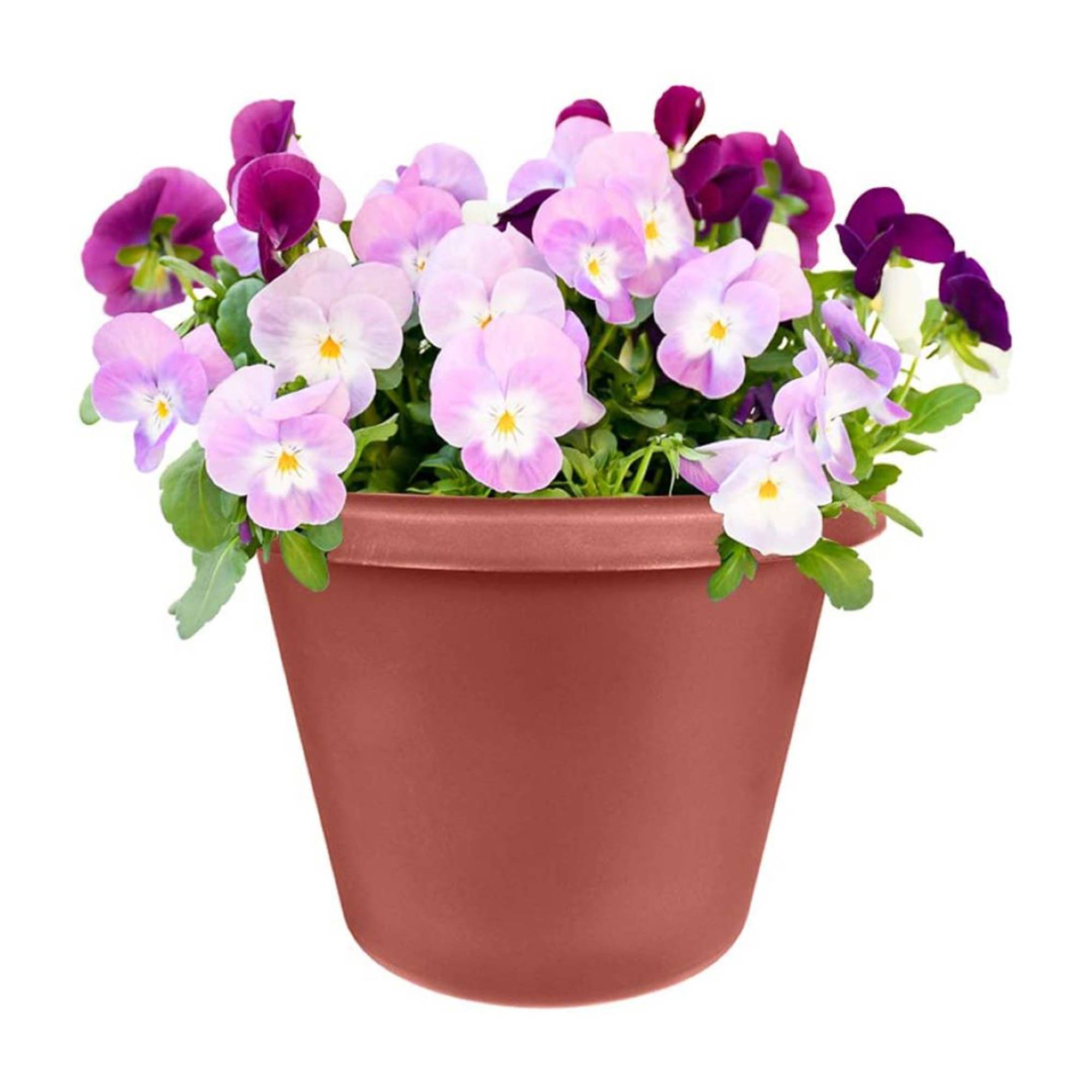 The HC Companies 12 In Plastic Classic Flower Pot Planter, Terra Cotta (4 Pack) - VMInnovations
