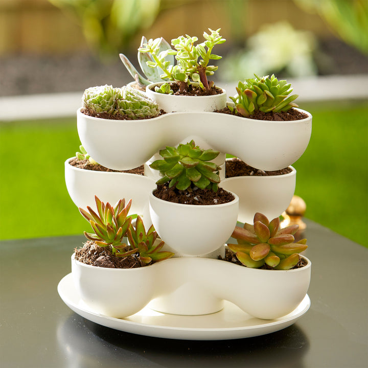 The HC Companies 8 Inch Pixie Indoor Stacking Plant Pot, Vanilla Bisque (2 Pack) - VMInnovations