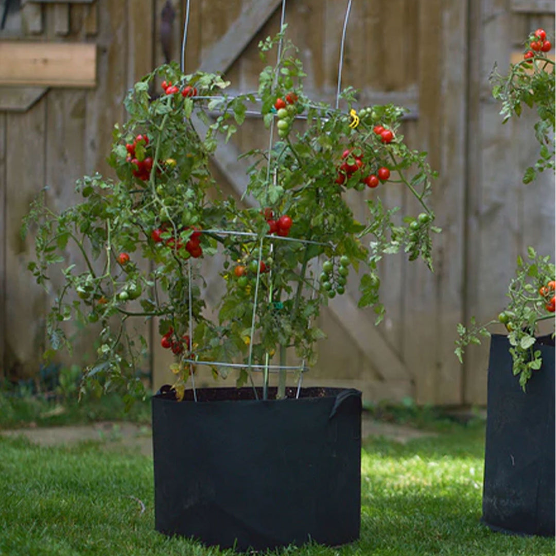 FCMP Outdoor 5 Gallon Modern Non Woven Breathable Grow Bags, Black (5 Pack) - VMInnovations