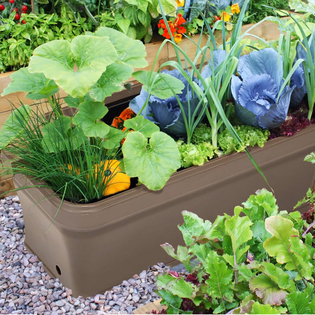 FCMP 32 Inch Outdoor Long and Deep Self Watering Vegetable Planter, Cappuccino - VMInnovations