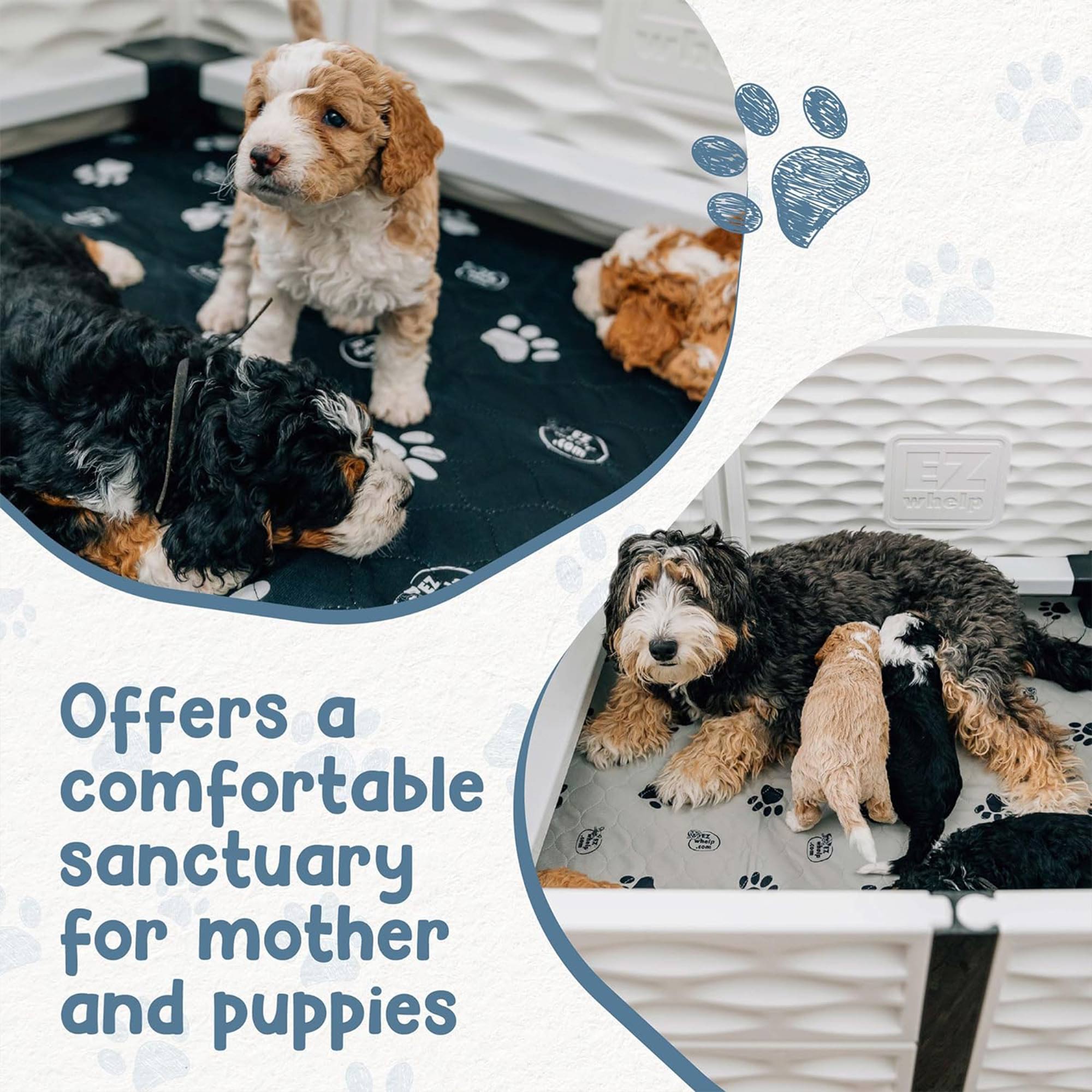 EZwhelp EZclassic 38" x 38" Puppy Dog Whelping Box Playpen with Rails & Liner - VMInnovations