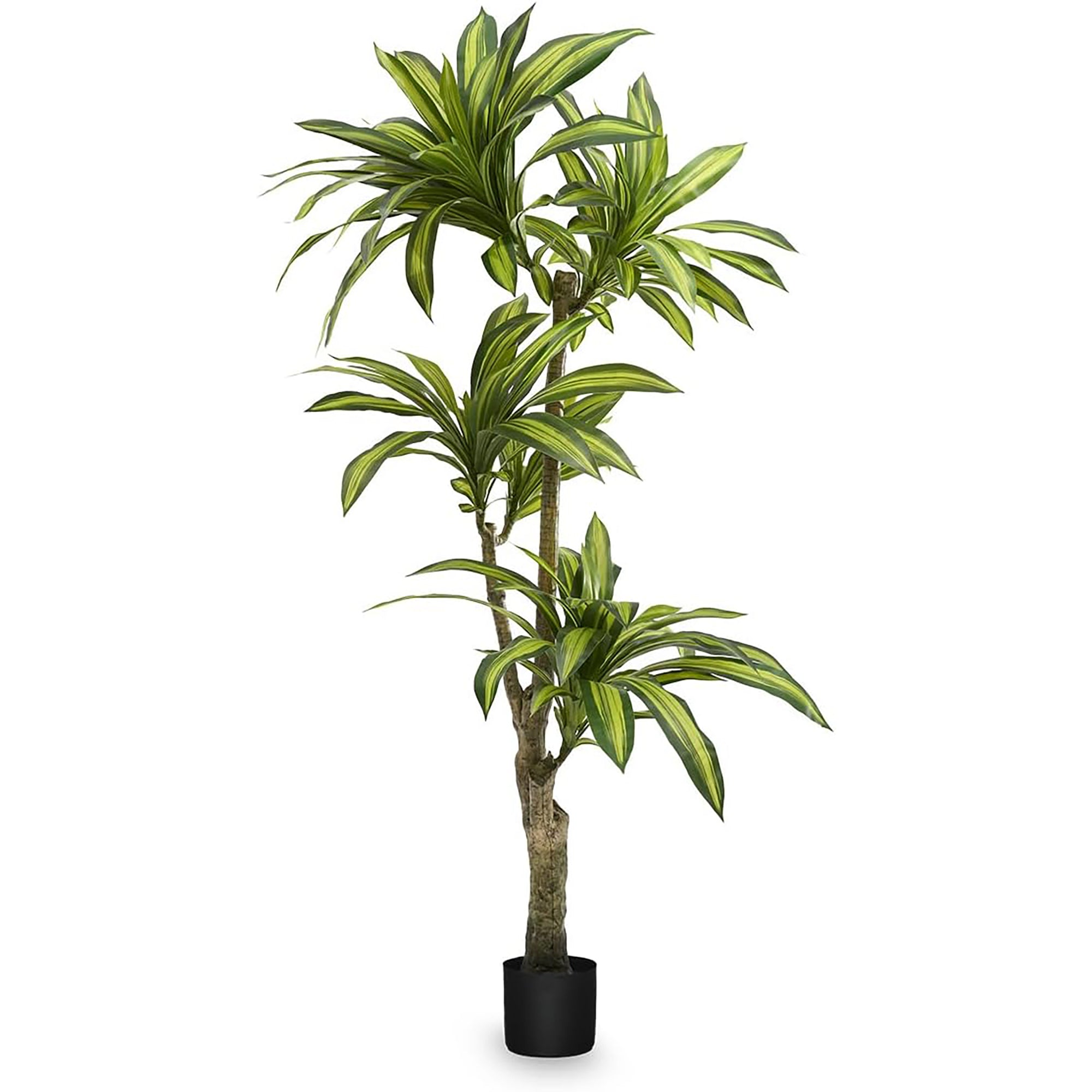 Maia Shop Artificial Dracaena Tree 5.5 ft. Tall Tropical Home Decoration, 67 In. - VMInnovations