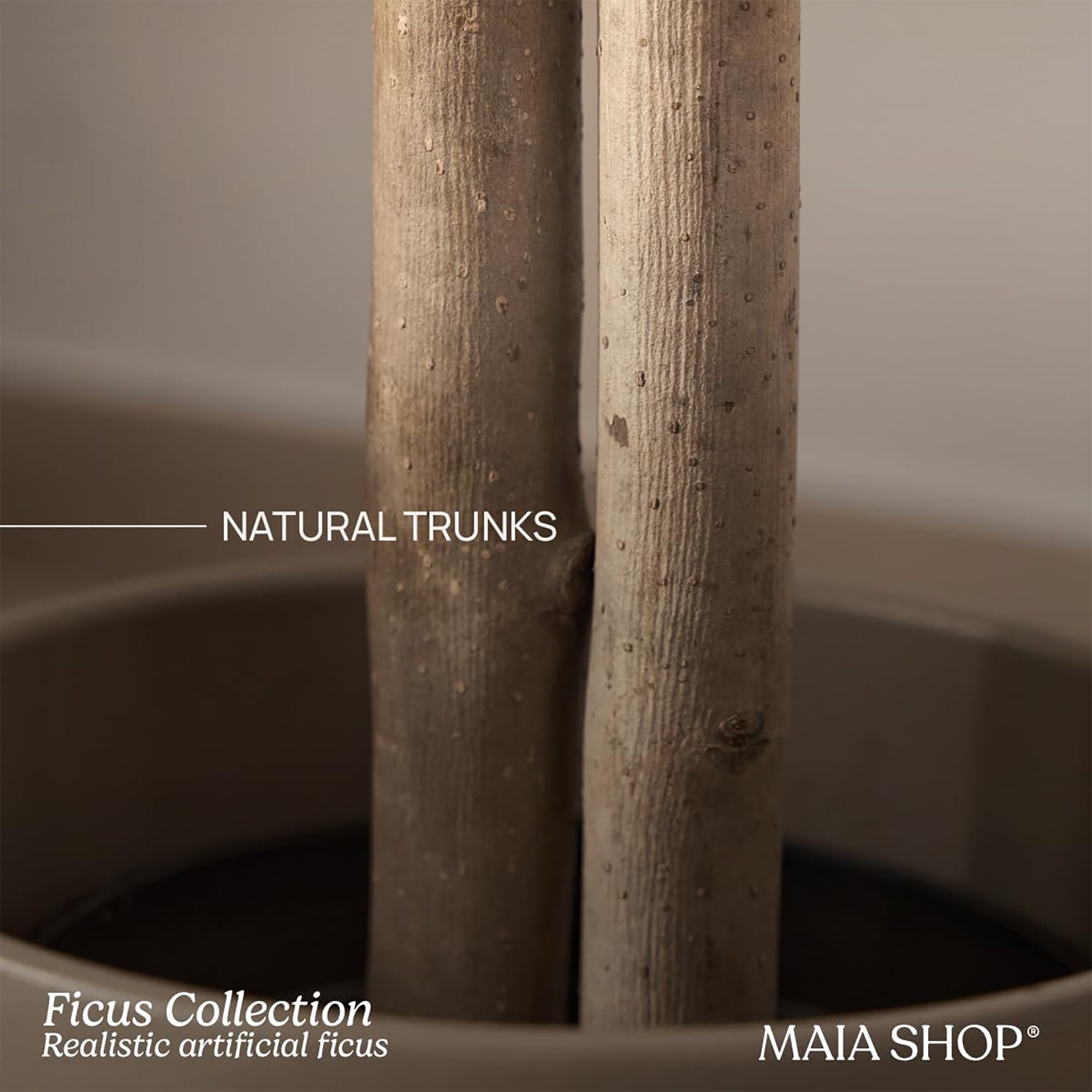 Maia Shop Artificial Ficus Tree 6 Feet Tall Tropical Home Decoration, 71 Inches - VMInnovations