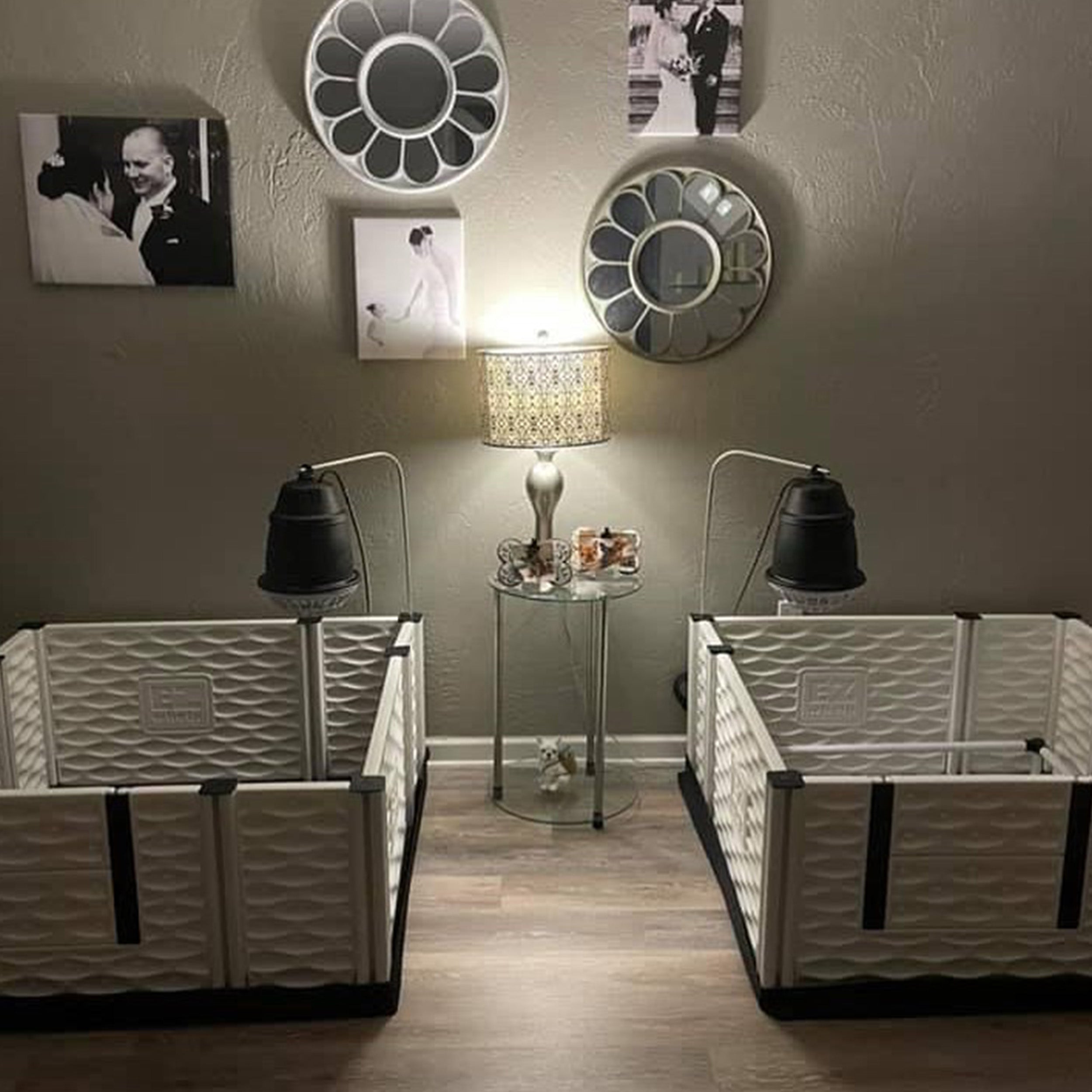 EZwhelp EZclassic 48" x 48" Dog Whelping Box Tall Playpen with Rails, Black - VMInnovations