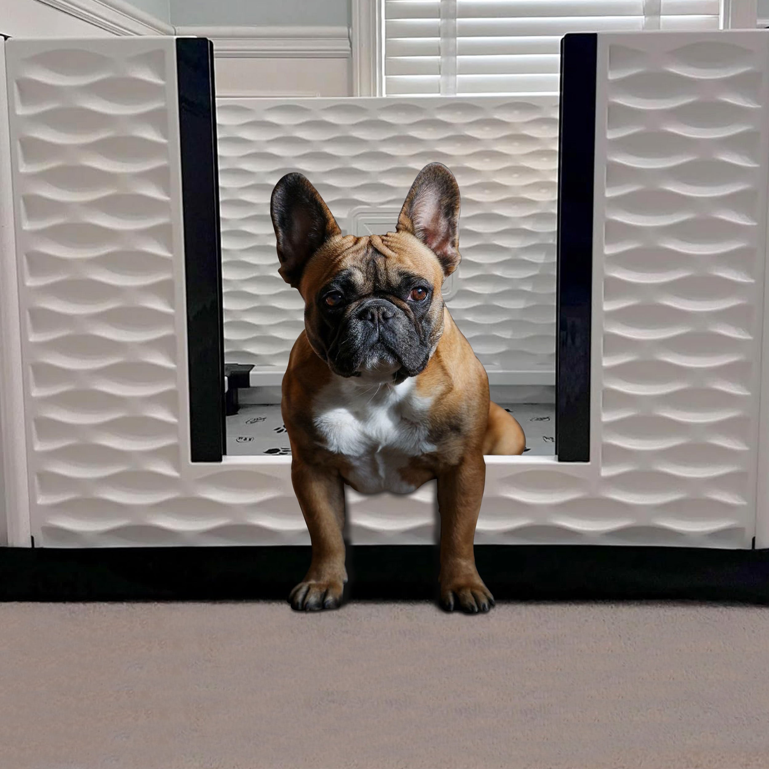 EZwhelp EZclassic 38" x 38" Dog Whelping Box Tall Playpen w/Rails & Liner, Gray - VMInnovations