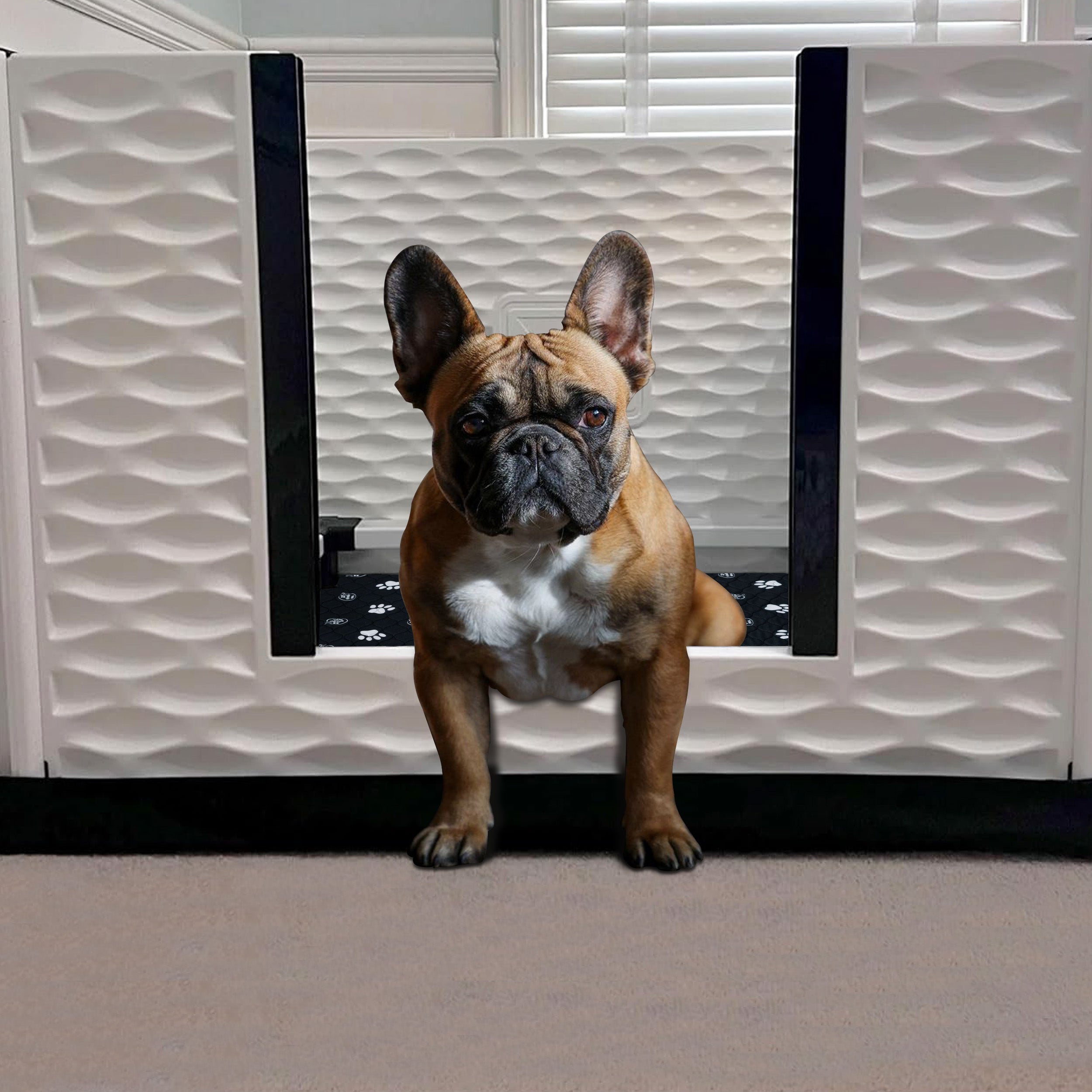 EZwhelp EZclassic 38" x 38" Puppy Dog Whelping Box Playpen with Rails & Liner - VMInnovations