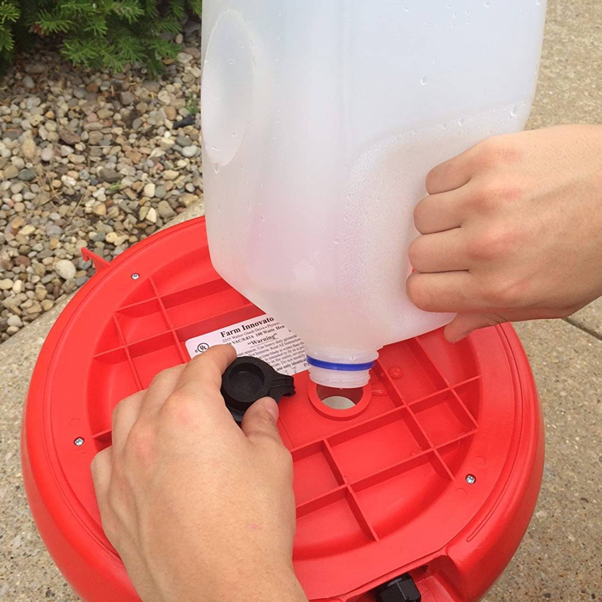 Farm Innovators 3 Gallon Heated Plastic Poultry Water Fountain, Red (8 Pack)