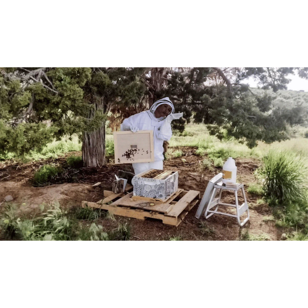 Harvest Lane Honey Beekeeping Jacket with Fencing Veil Headpiece, Large - VMInnovations