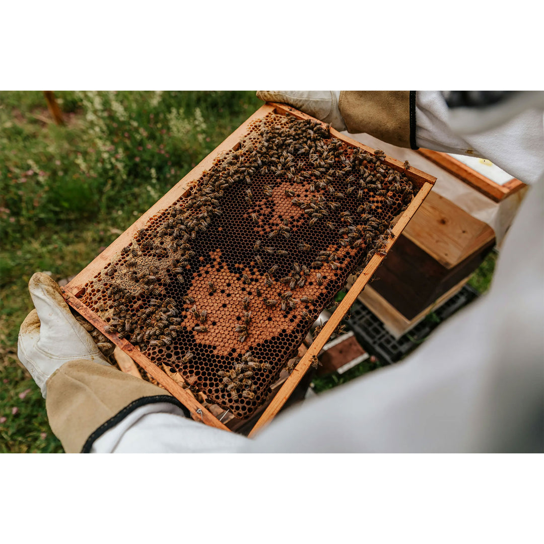 Harvest Lane Honey Beekeeping Jacket with Fencing Veil Headpiece, Large - VMInnovations