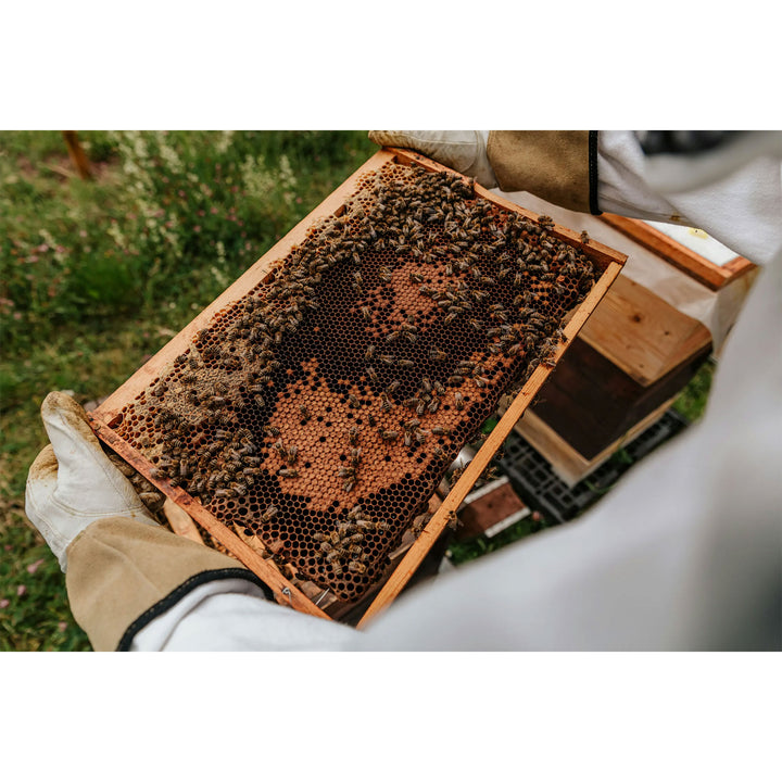 Harvest Lane Honey Beekeeping Jacket with Fencing Veil Headpiece, Large - VMInnovations