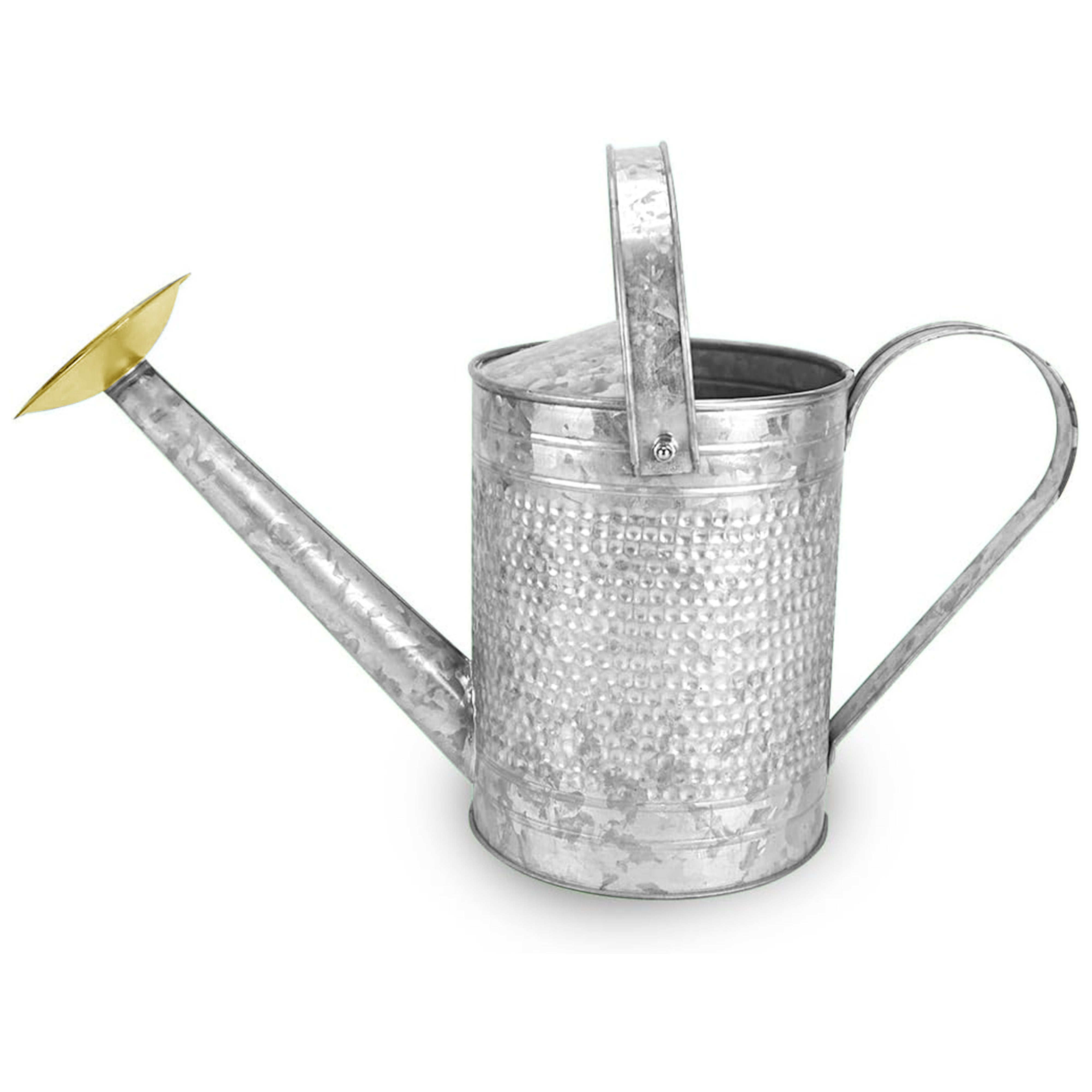Jameson 1 Gallon Galvanized Watering Can with Handle for Patio, Lawn, and Garden - VMInnovations