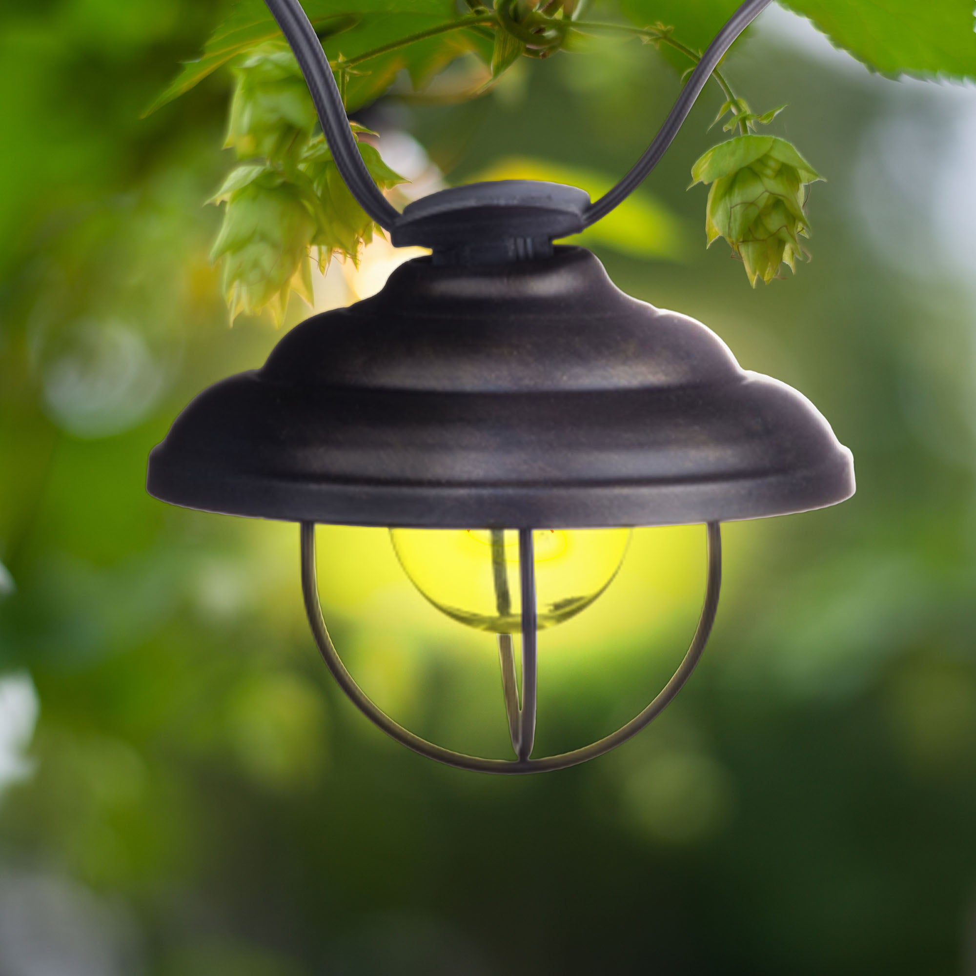 Globe Electric Porto String 10 Light Set with Incandescent Design (Open Box)