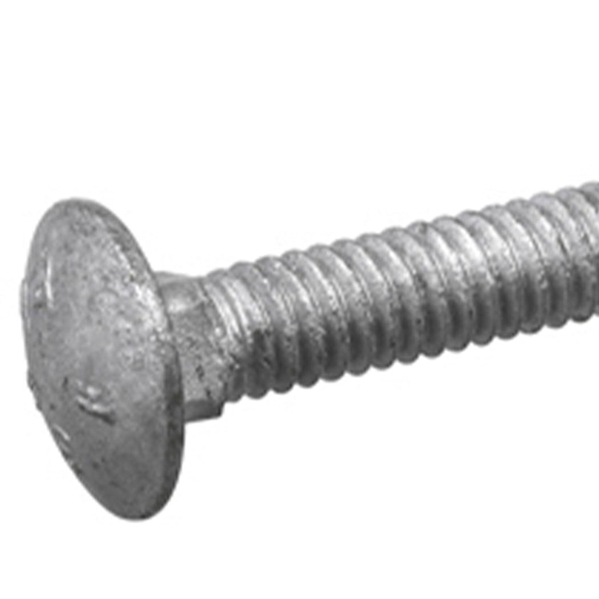 Hillman Galvanized 1/4"x6" Carriage Bolts for Wood/Metal Frame (100pk)(Open Box)