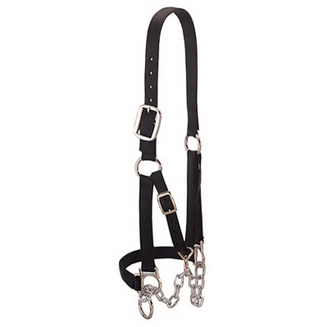 Weaver Leather Medium Cattle Halter w/Double Stitched Nylon & Chin Choker (Used)