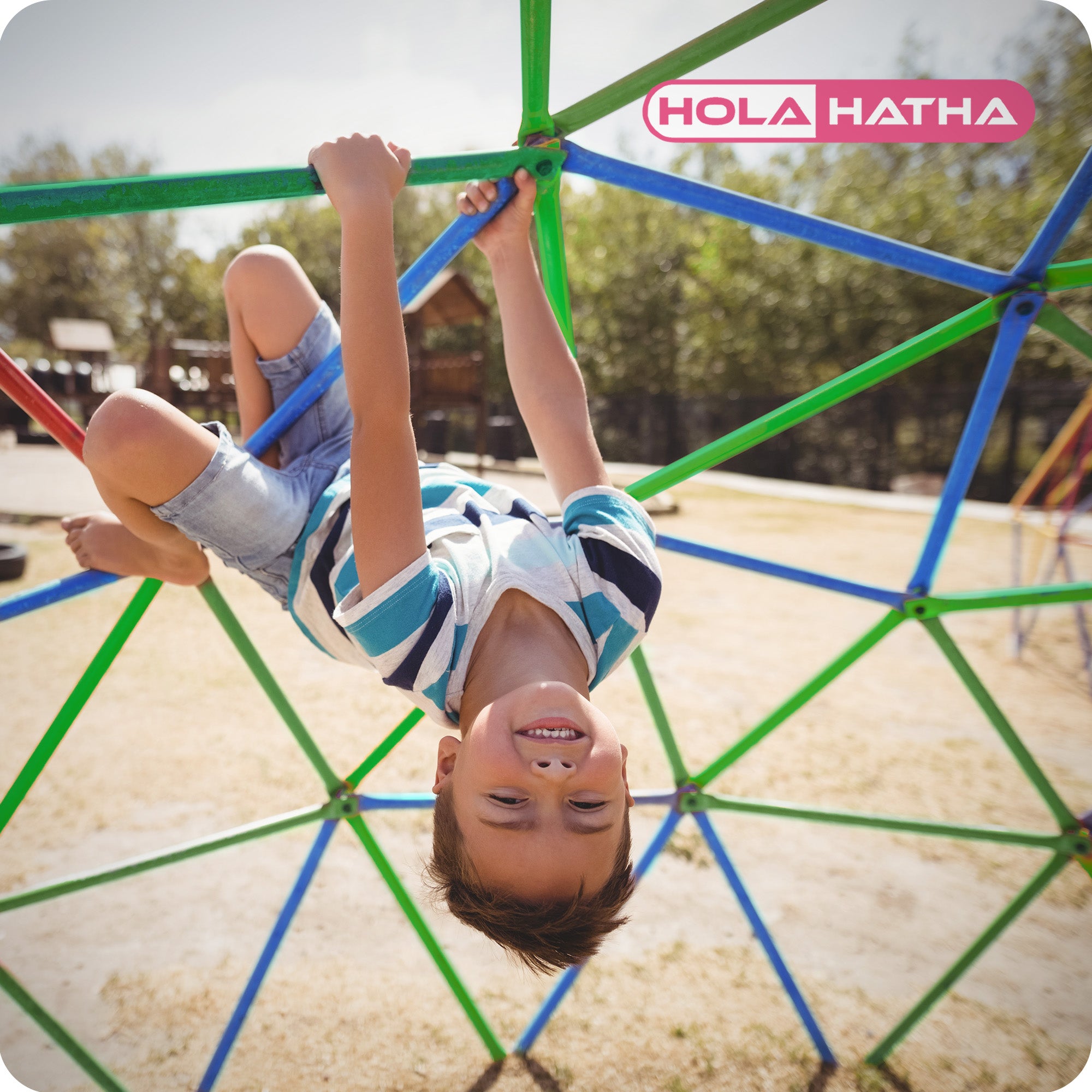 HolaHatha Dome Playground Climber for Kids, 440 Pound Capacity (For Parts) - VMInnovations