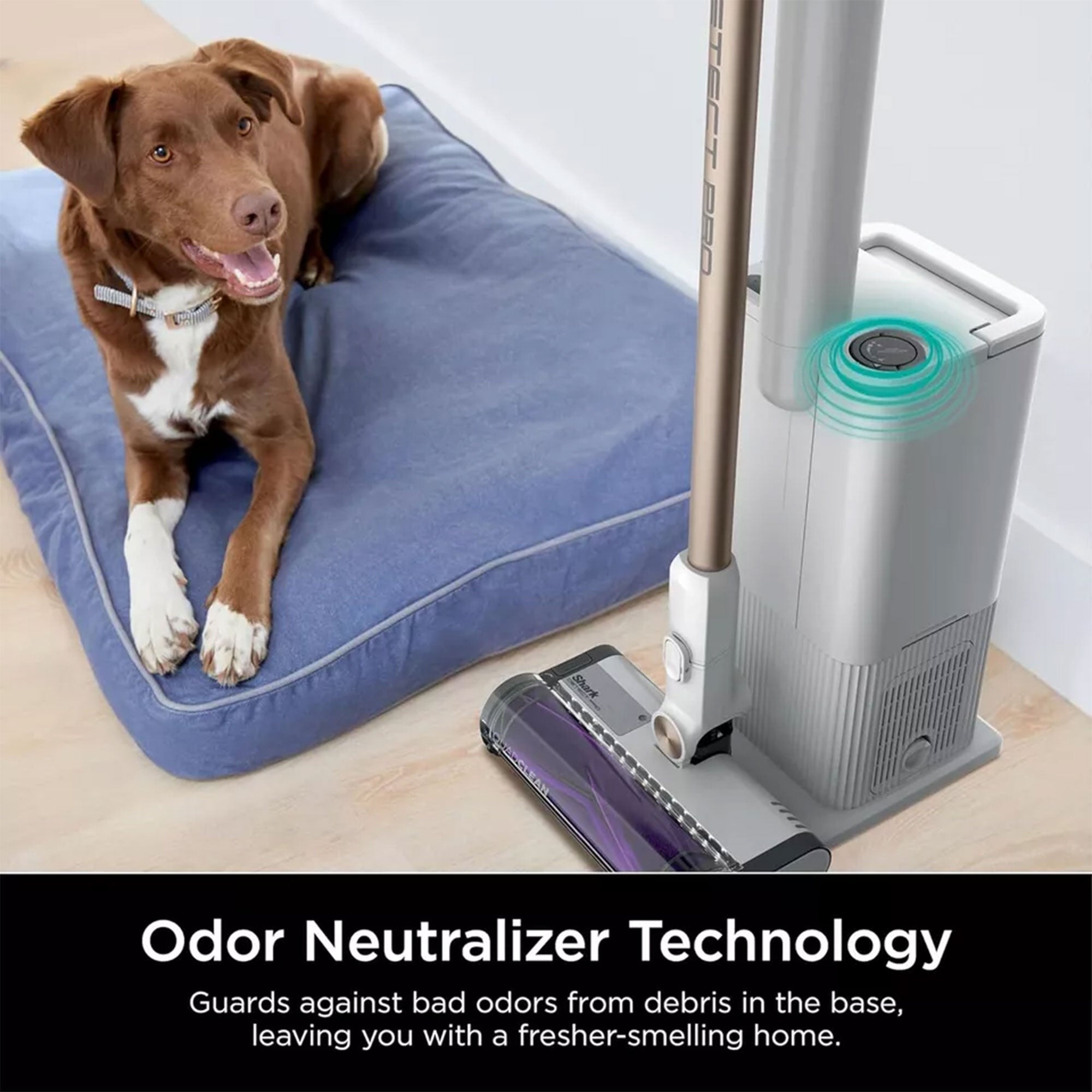Shark Cordless Detect Pro Auto Empty Stick Vacuum, White (For Parts) - VMInnovations