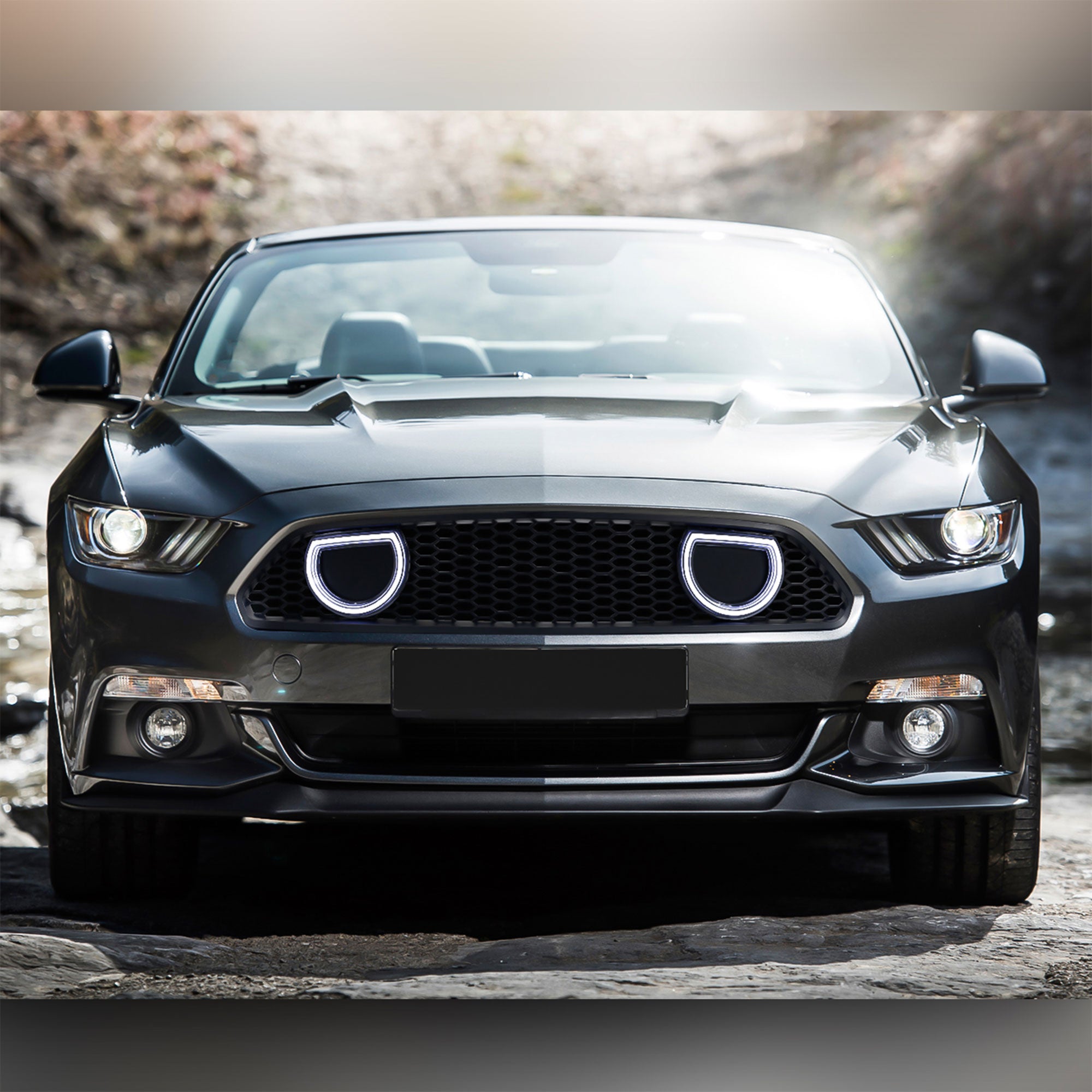 AMERICAN MODIFIED Grille for 15-17 Ford Mustang EcoBoost, GT, & V6, Matte Black - VMInnovations