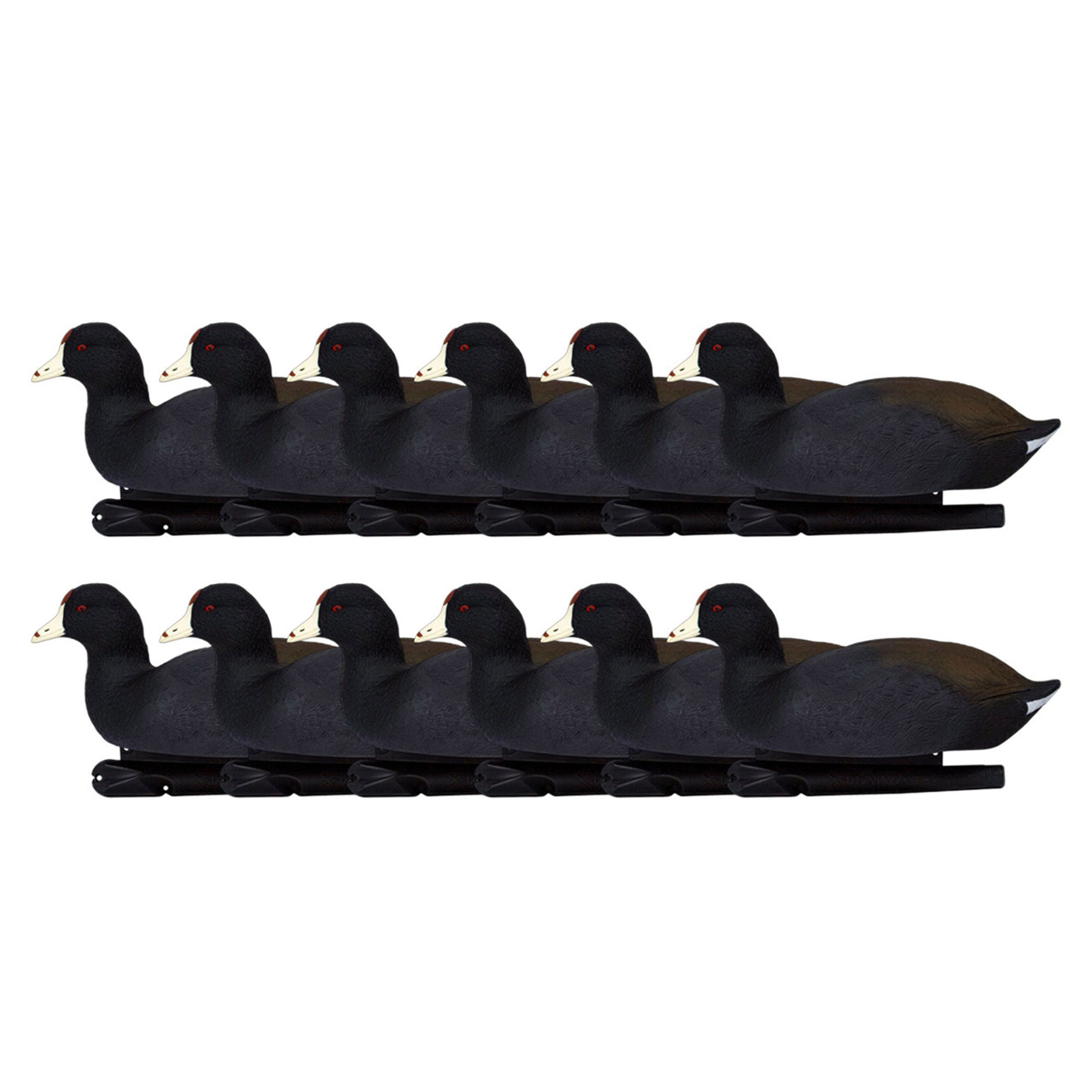 Avian X Top Flight Coot with Ultra Realistic Paint Scheme for Hunting,12 Pack