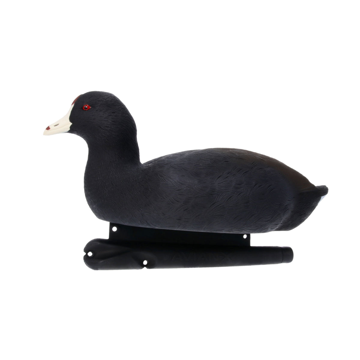 Avian X Top Flight Coot with Ultra Realistic Paint Scheme for Hunting,12 Pack