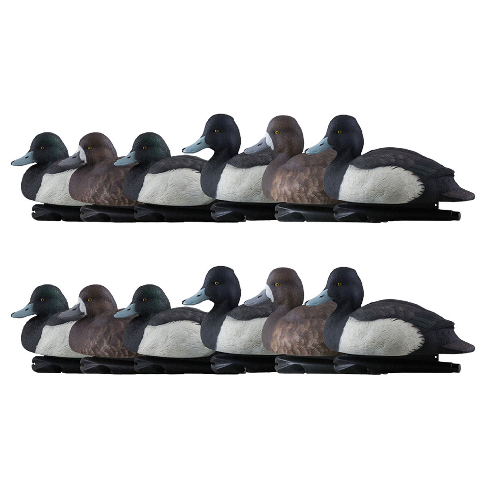 Avian X Topflight Blue Bills Duck Decoys with Weight Forward Swim Keel, 12 Pack