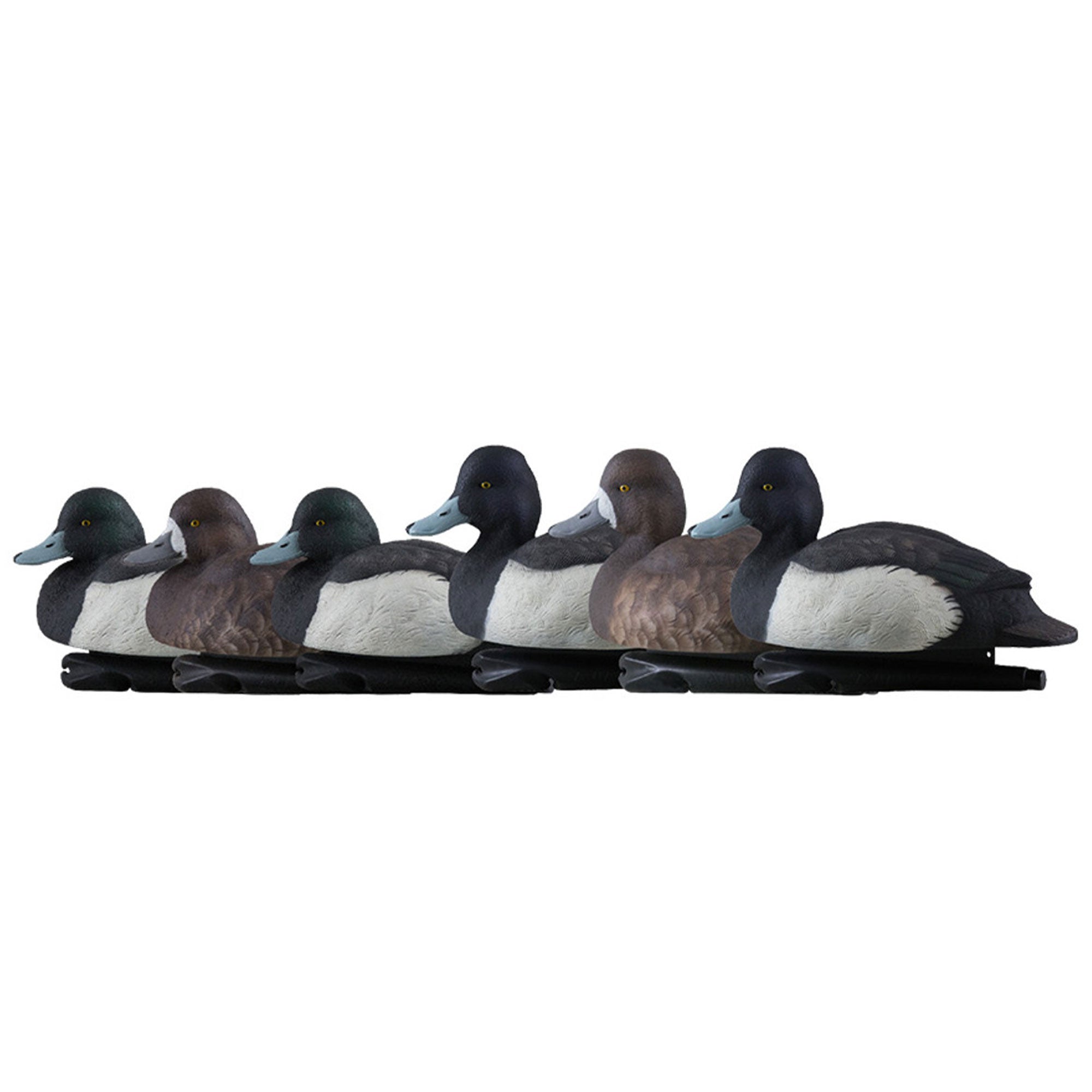 Avian X Topflight Blue Bills Duck Decoys with Weight Forward Swim Keel, 12 Pack