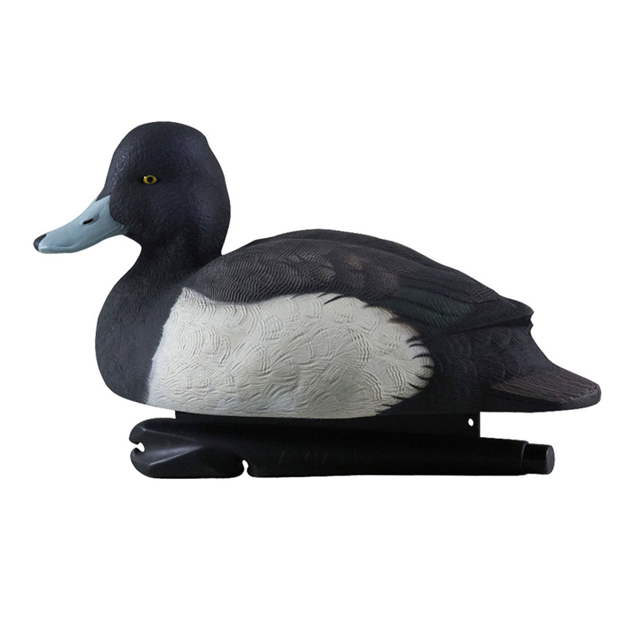 Avian X Topflight Blue Bills Duck Decoys with Weight Forward Swim Keel, 12 Pack