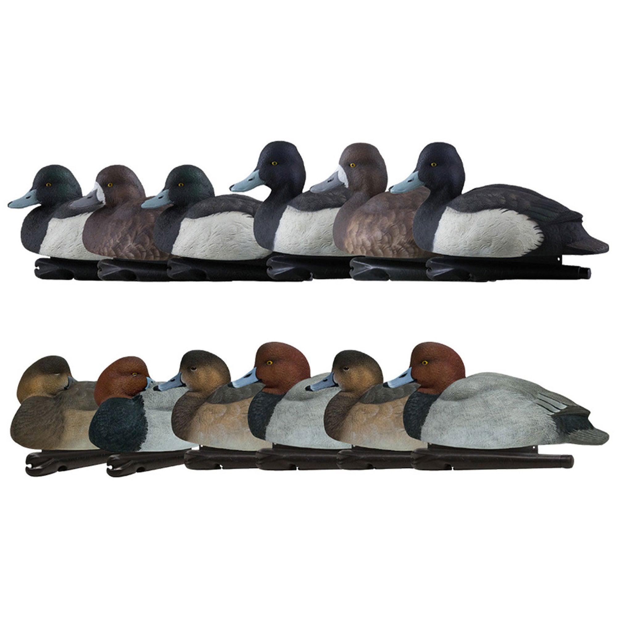 Avian X Topflight Blue Bills Duck Decoys Bundled with Redheads Realistic Decoys