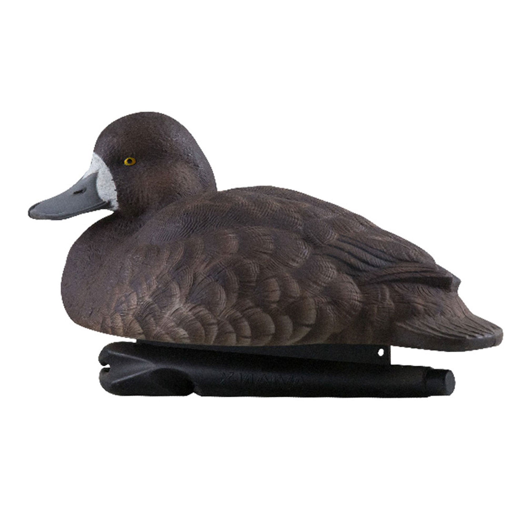Avian X Topflight Blue Bills Duck Decoys Bundled with Redheads Realistic Decoys